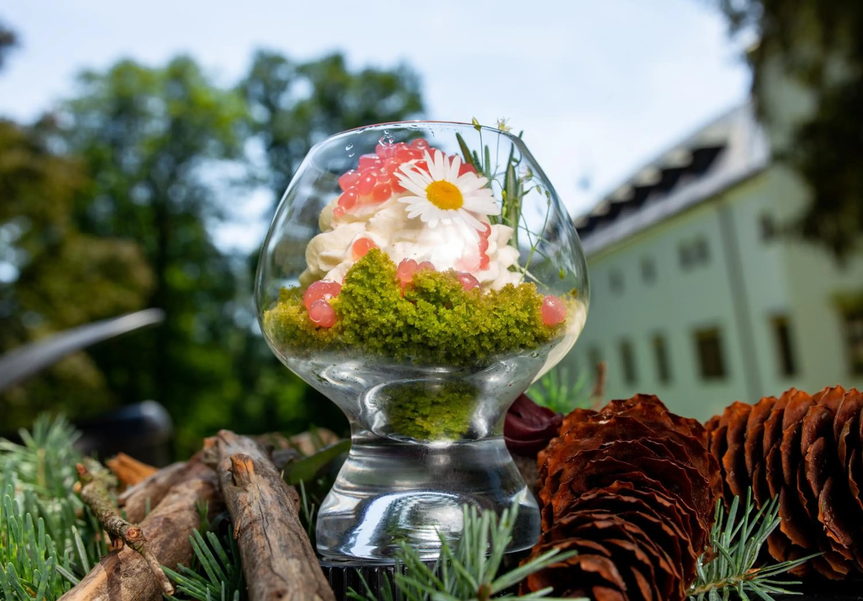 Food in Zámek Třešť