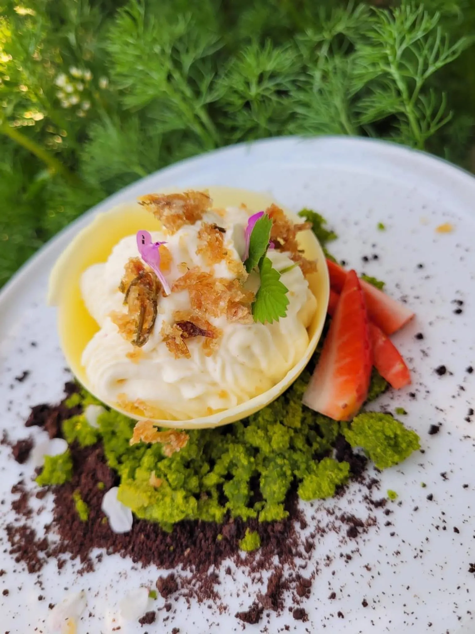 Food close-up in Zámek Třešť