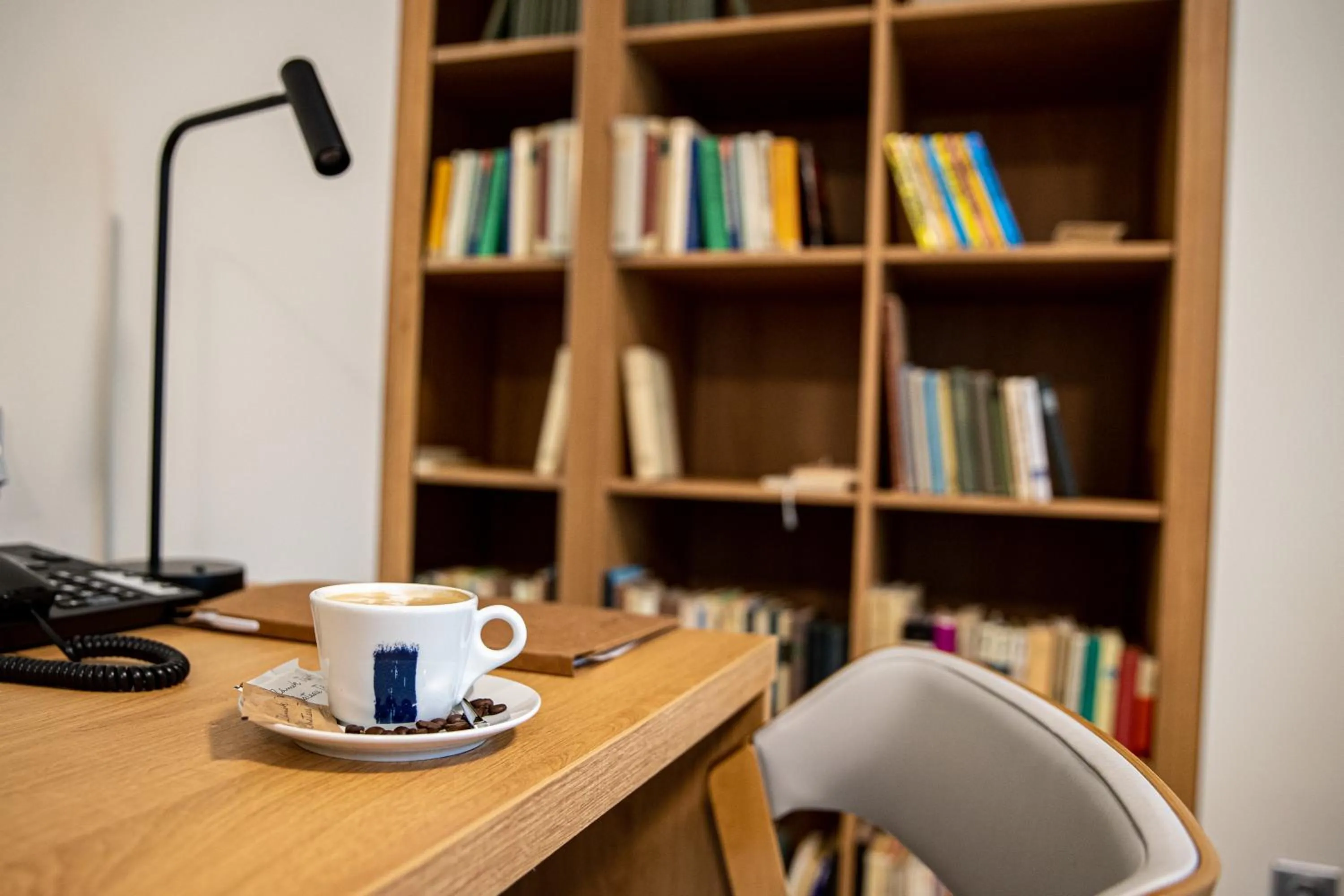 Library in Zámek Třešť