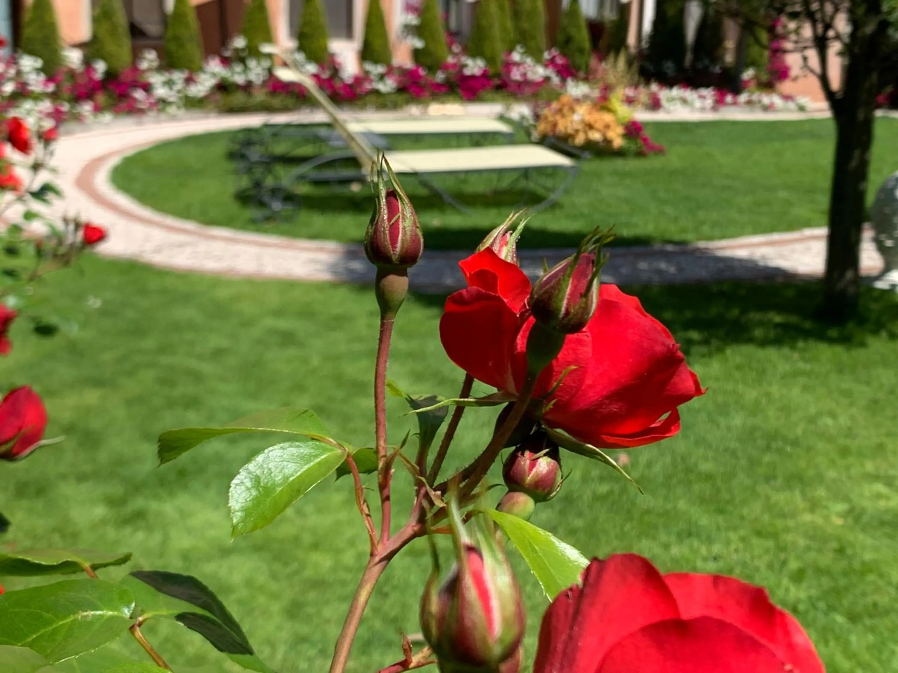 Garden in Hotel Olimpia Venice, BW Signature Collection 3sup