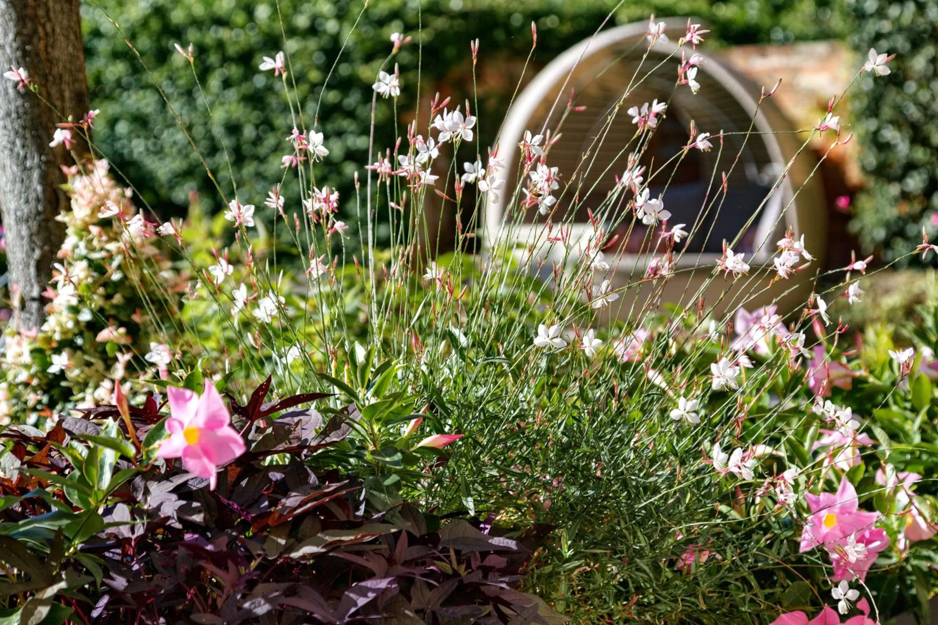 Garden view in Hotel Olimpia Venice, BW Signature Collection 3sup