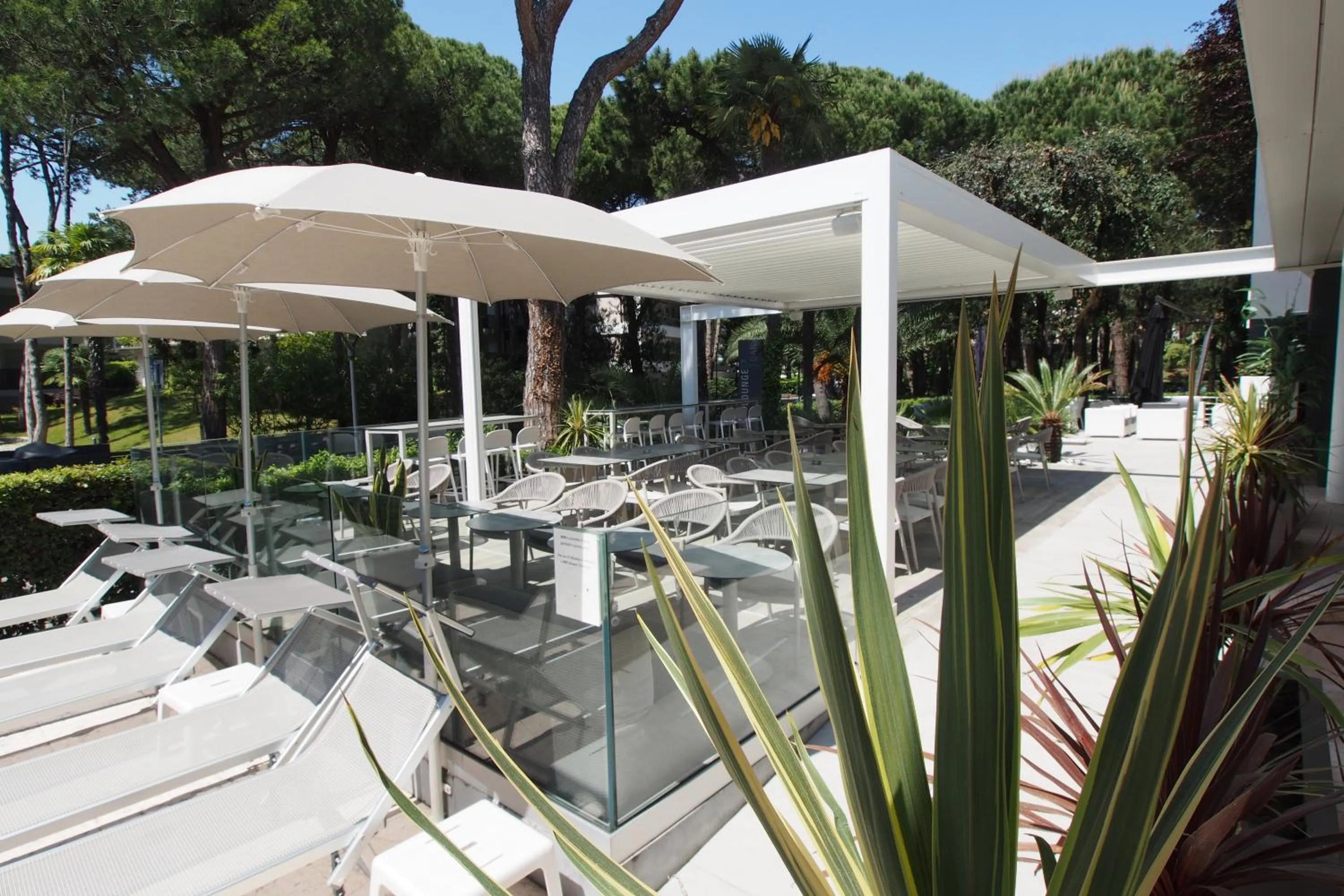 Patio in Hotel Bella Venezia Mare