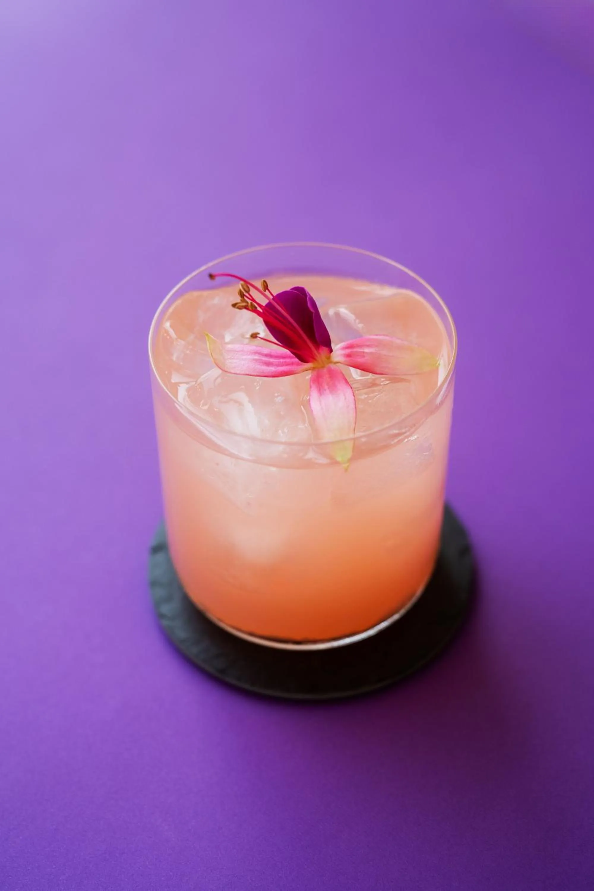 Drinks in Color Hotel Style, Design & Gourmet