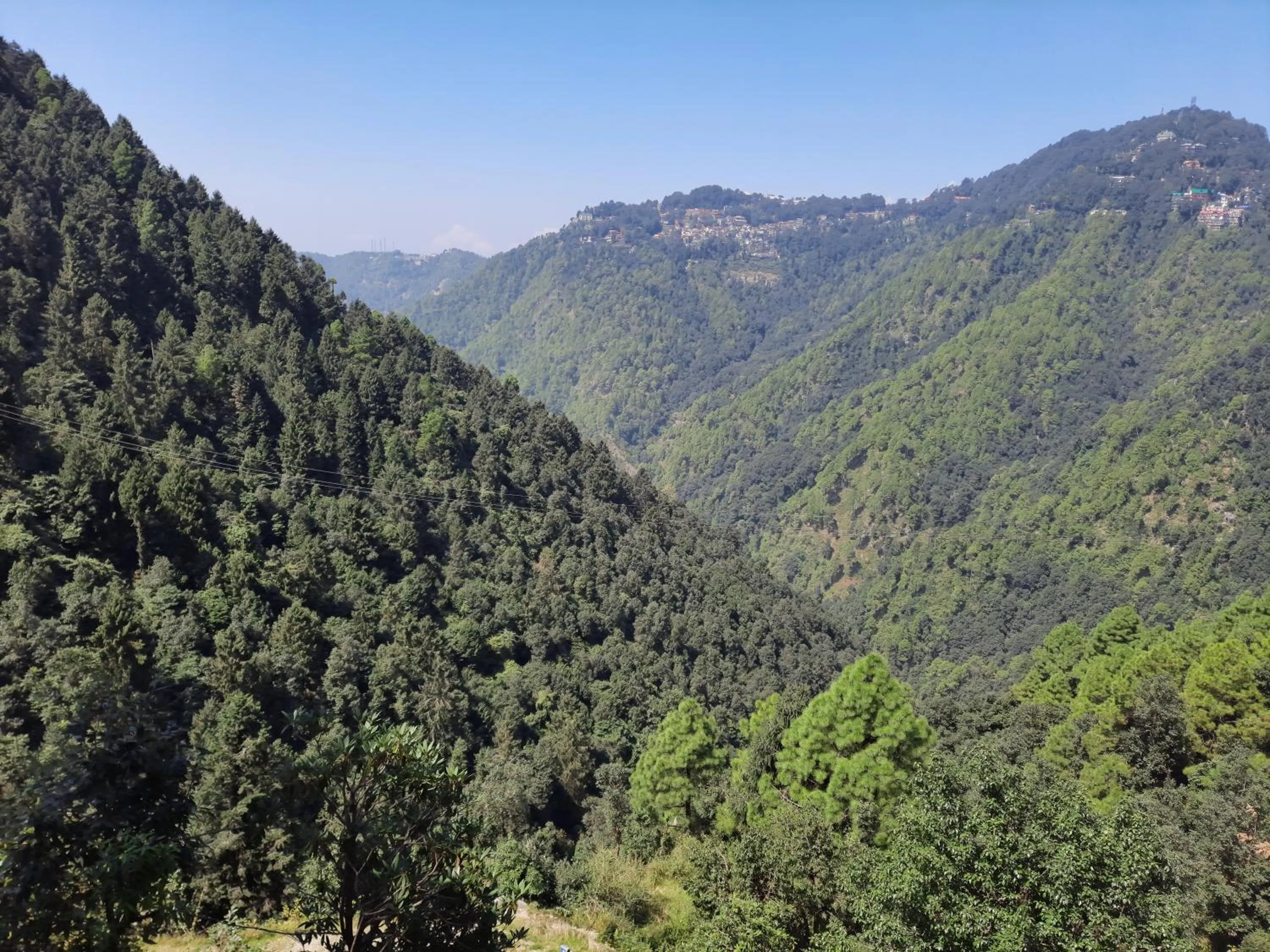 FORTUNE HEIGHTS HOMESTAY- Best Forest view & Peaceful surrounding