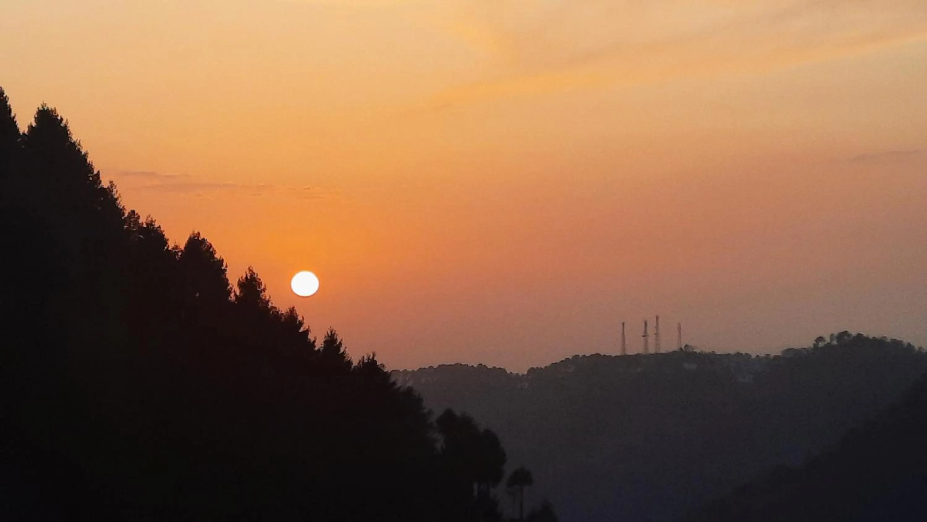 Restaurant/places to eat in FORTUNE HEIGHTS HOMESTAY- Best Forest view & Peaceful surrounding