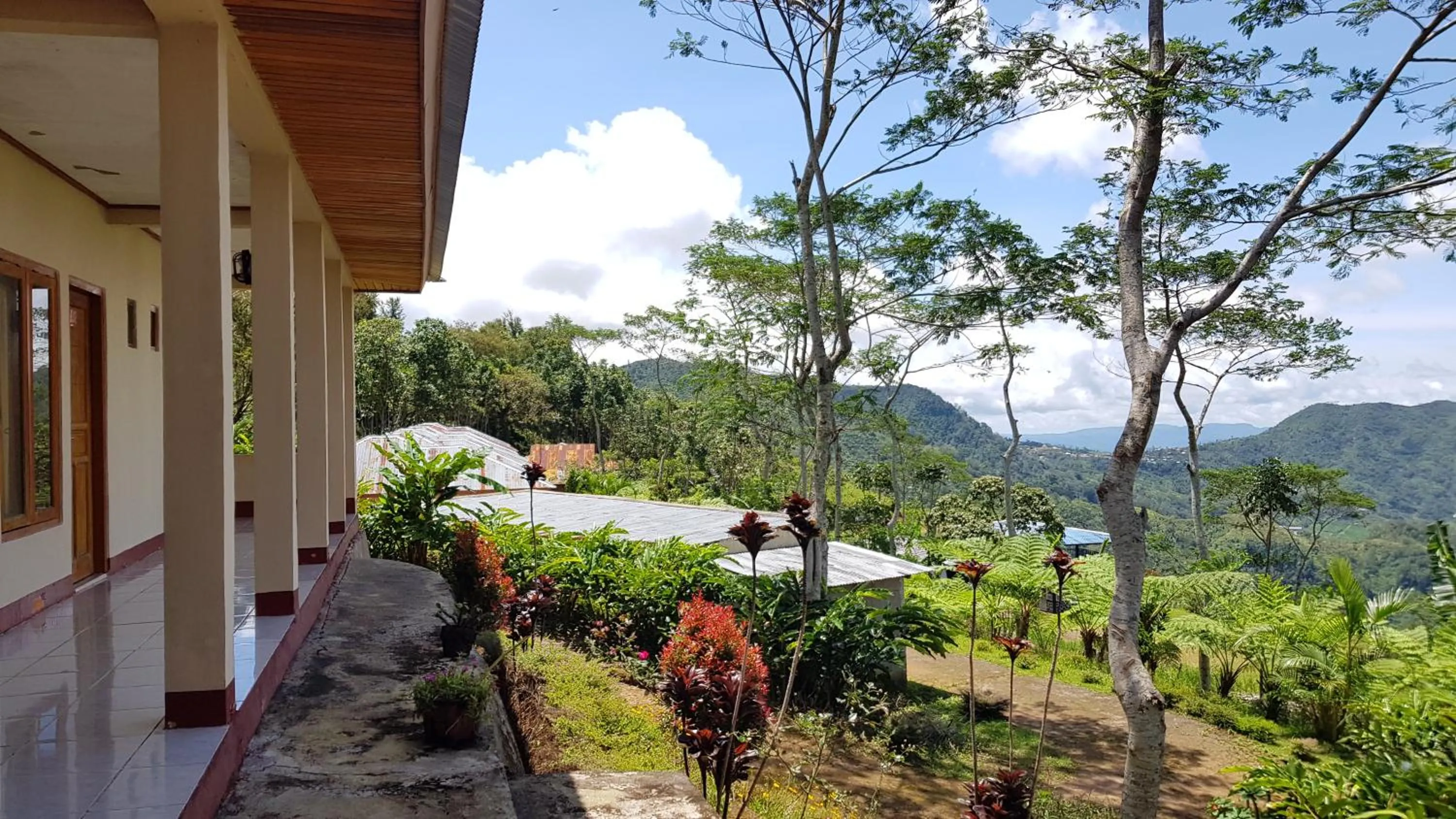 Villa Alam Flores Mbohang Ruteng Mitra RedDoorz