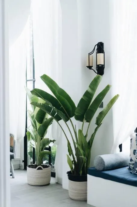 Living room in Luxurious 3BR Villa Muzo with Pool by OriVista near W