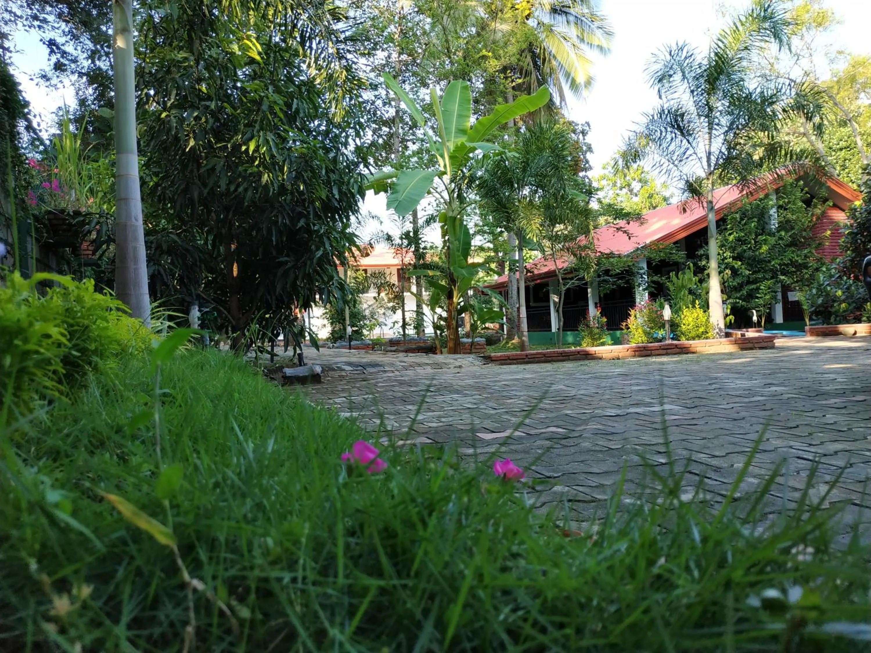 Sigiriya Cashew Palace Resort