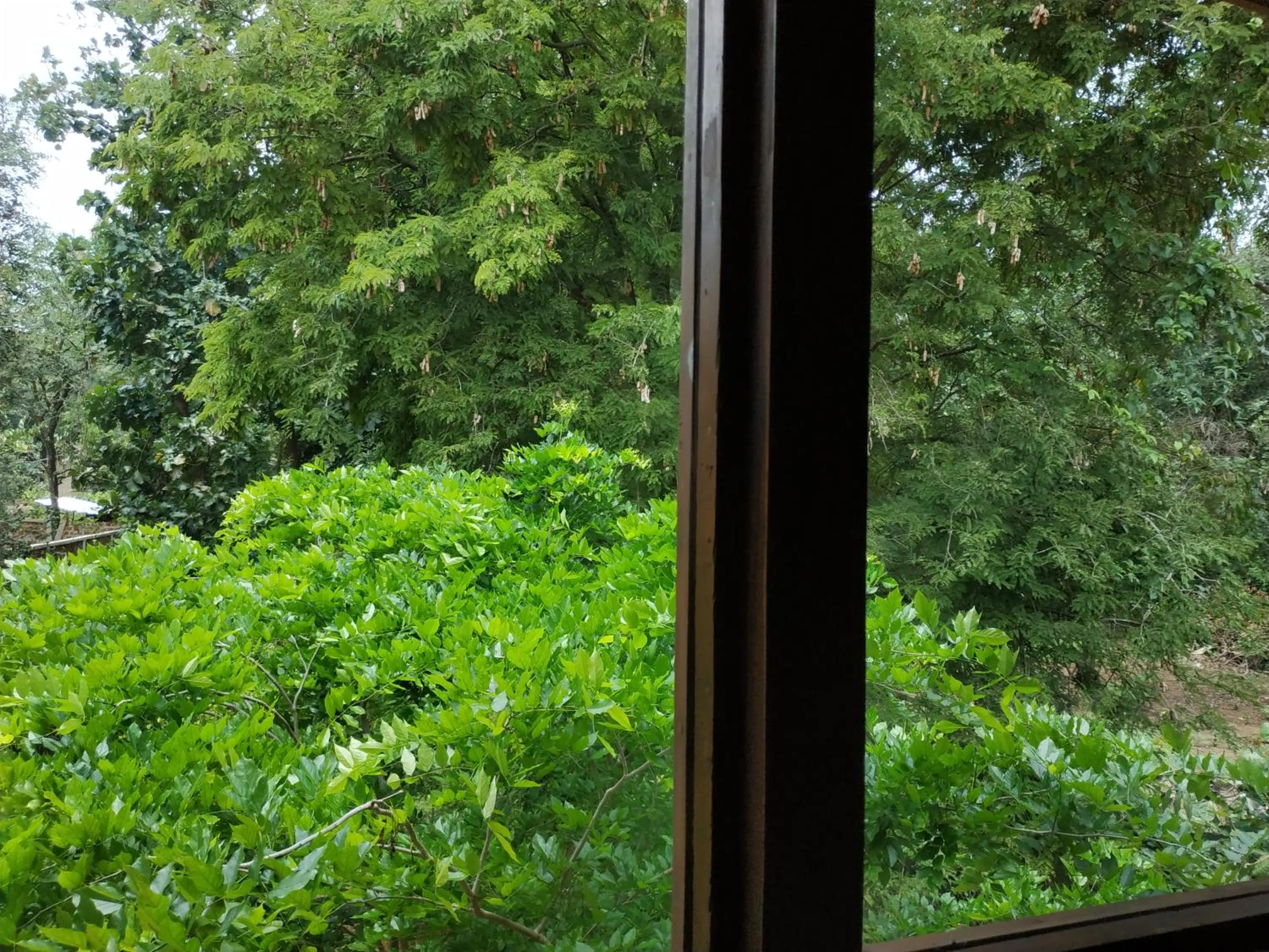 Sigiriya Cashew Palace Resort