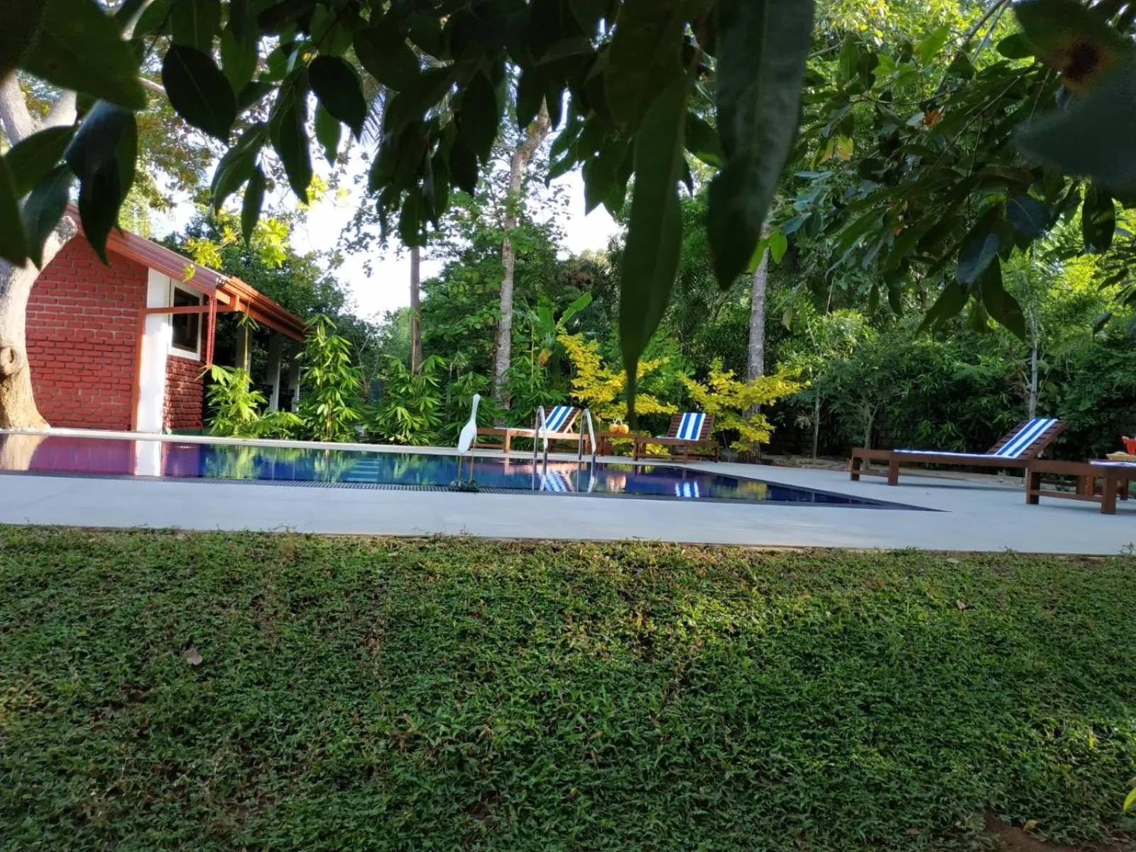 Sigiriya Cashew Palace Resort