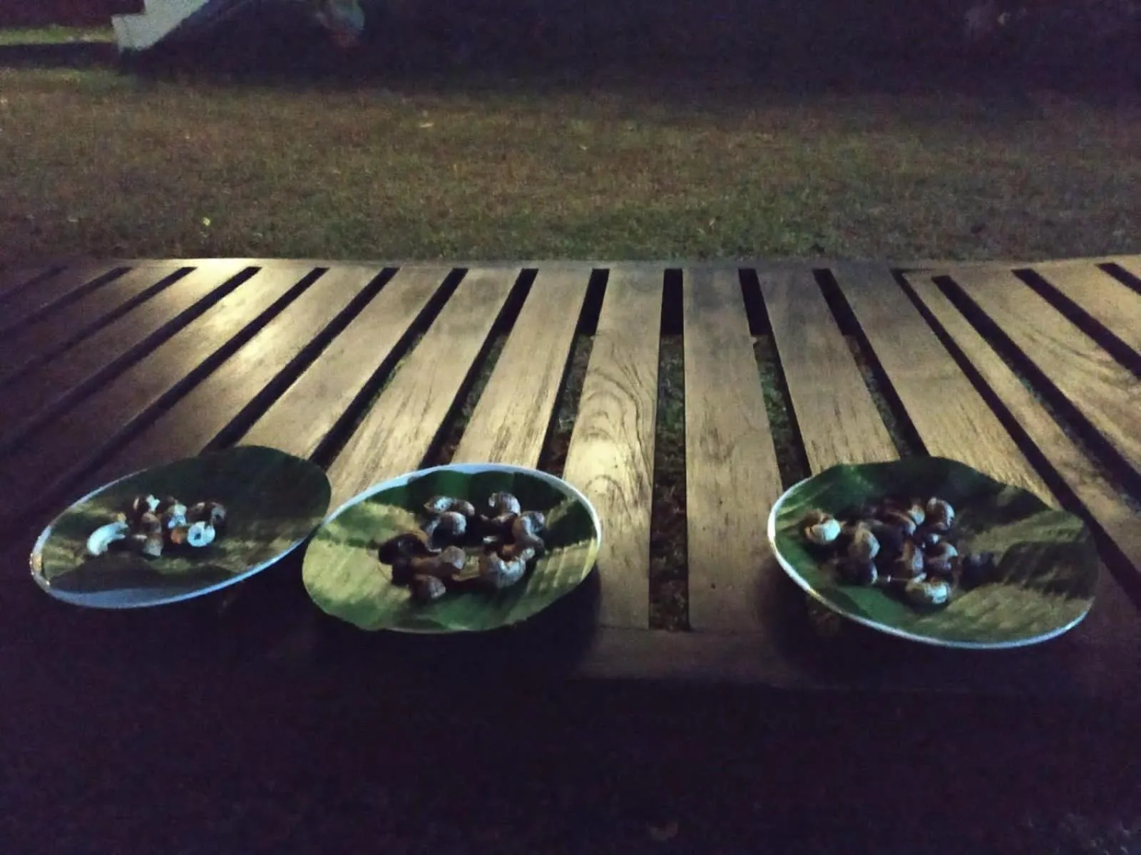 Sigiriya Cashew Palace Resort