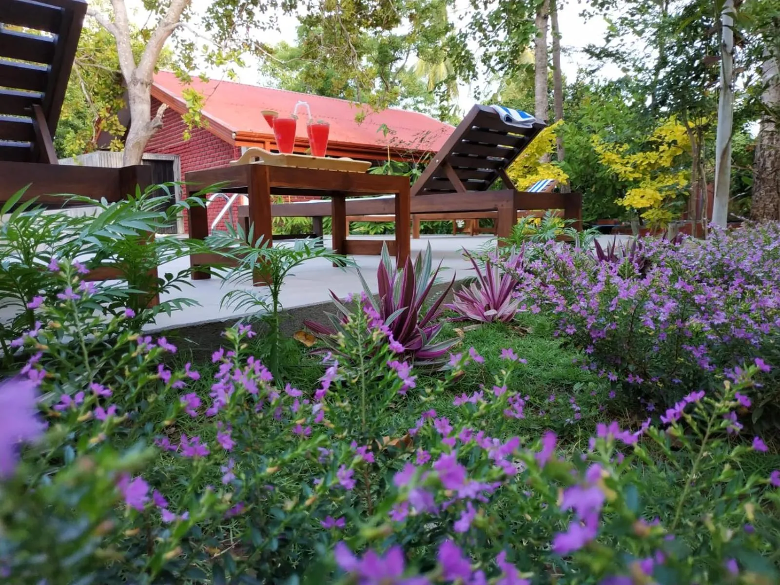 Sigiriya Cashew Palace Resort