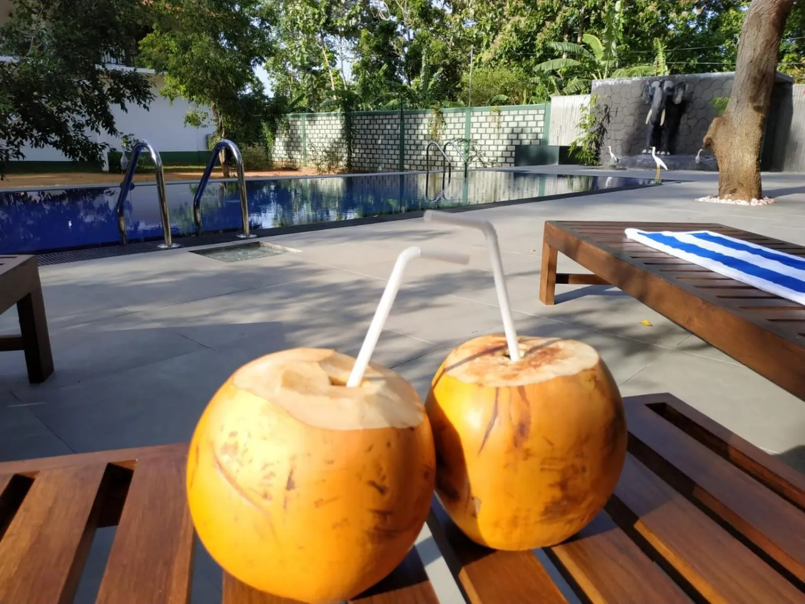 Sigiriya Cashew Palace Resort