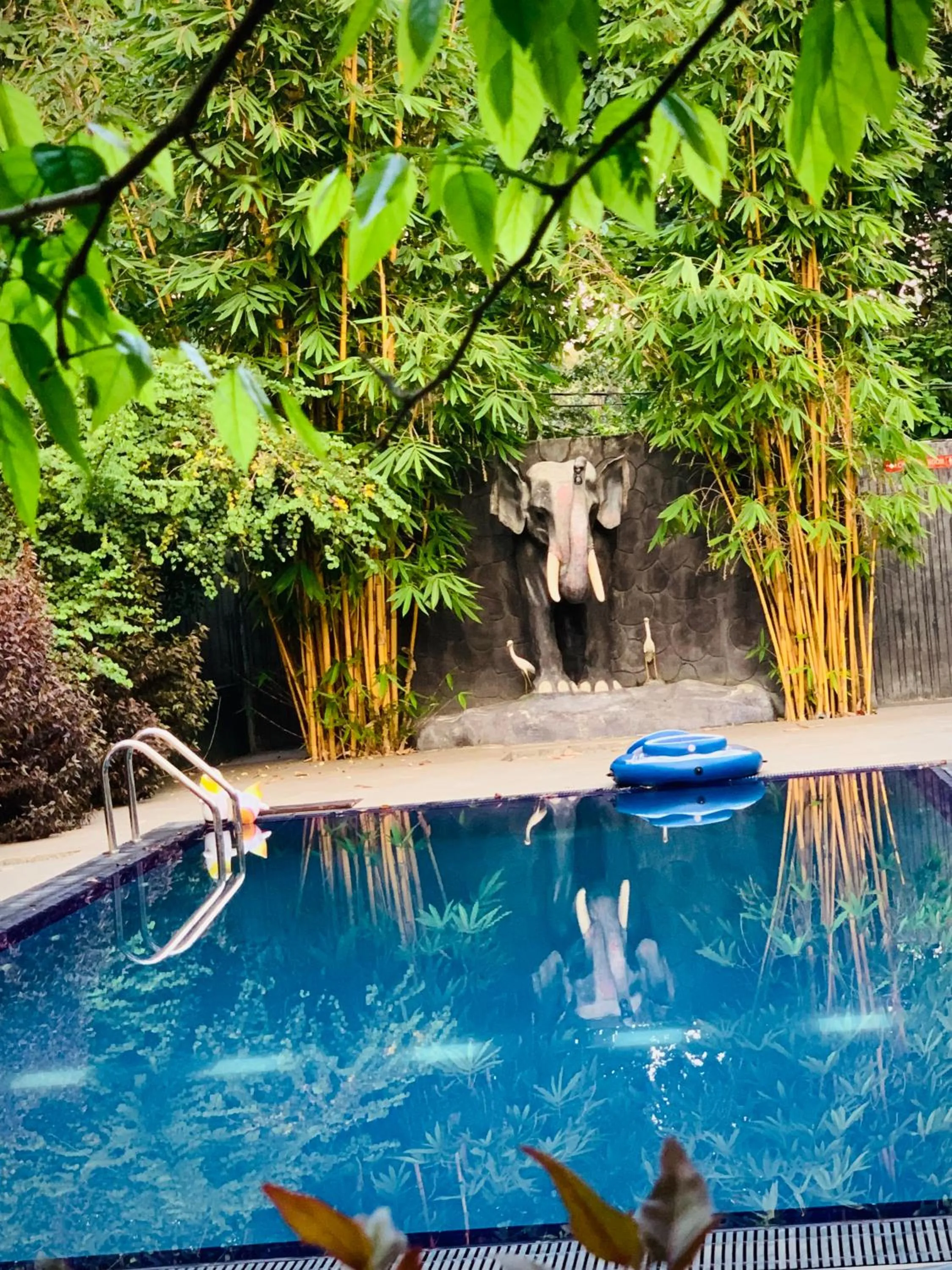 Pool view in Sigiriya Cashew Palace Resort