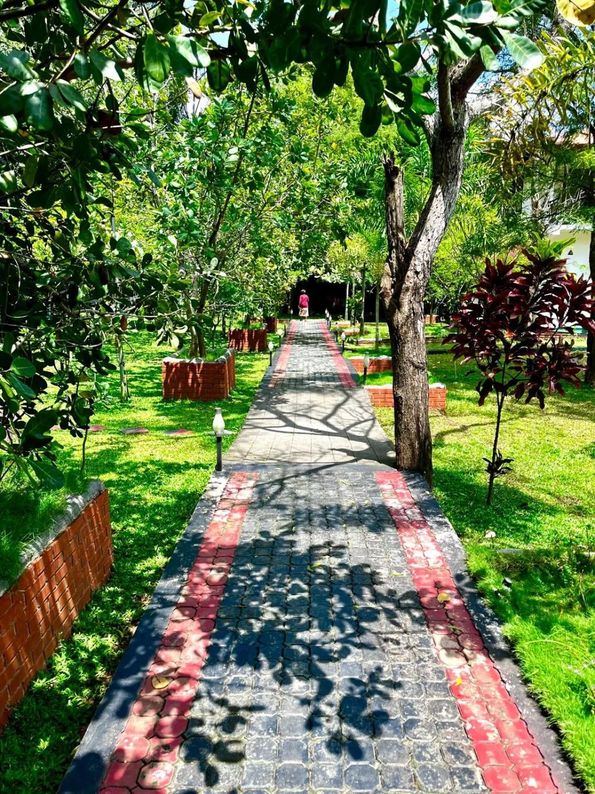 Sigiriya Cashew Palace Resort