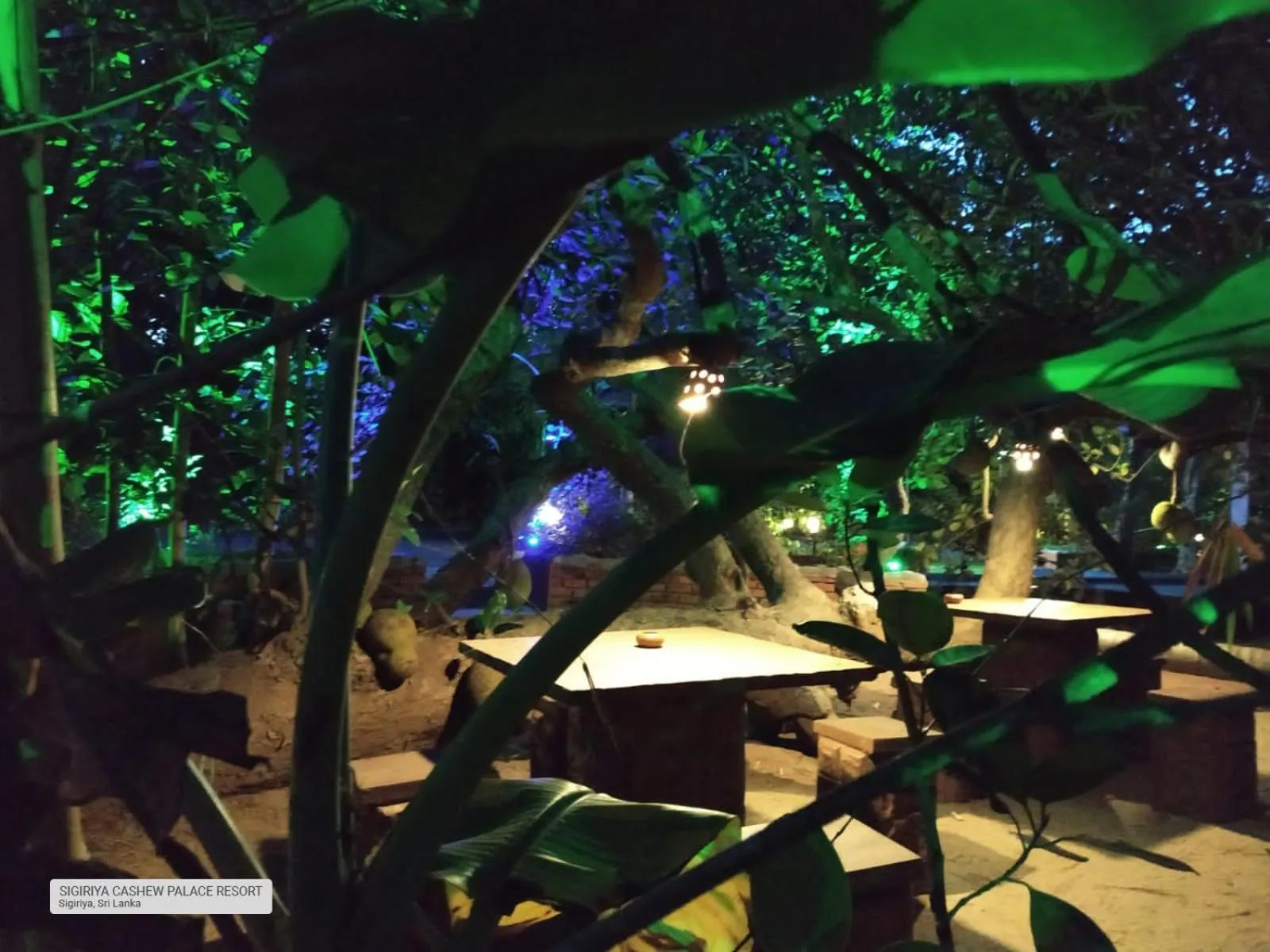 Sigiriya Cashew Palace Resort