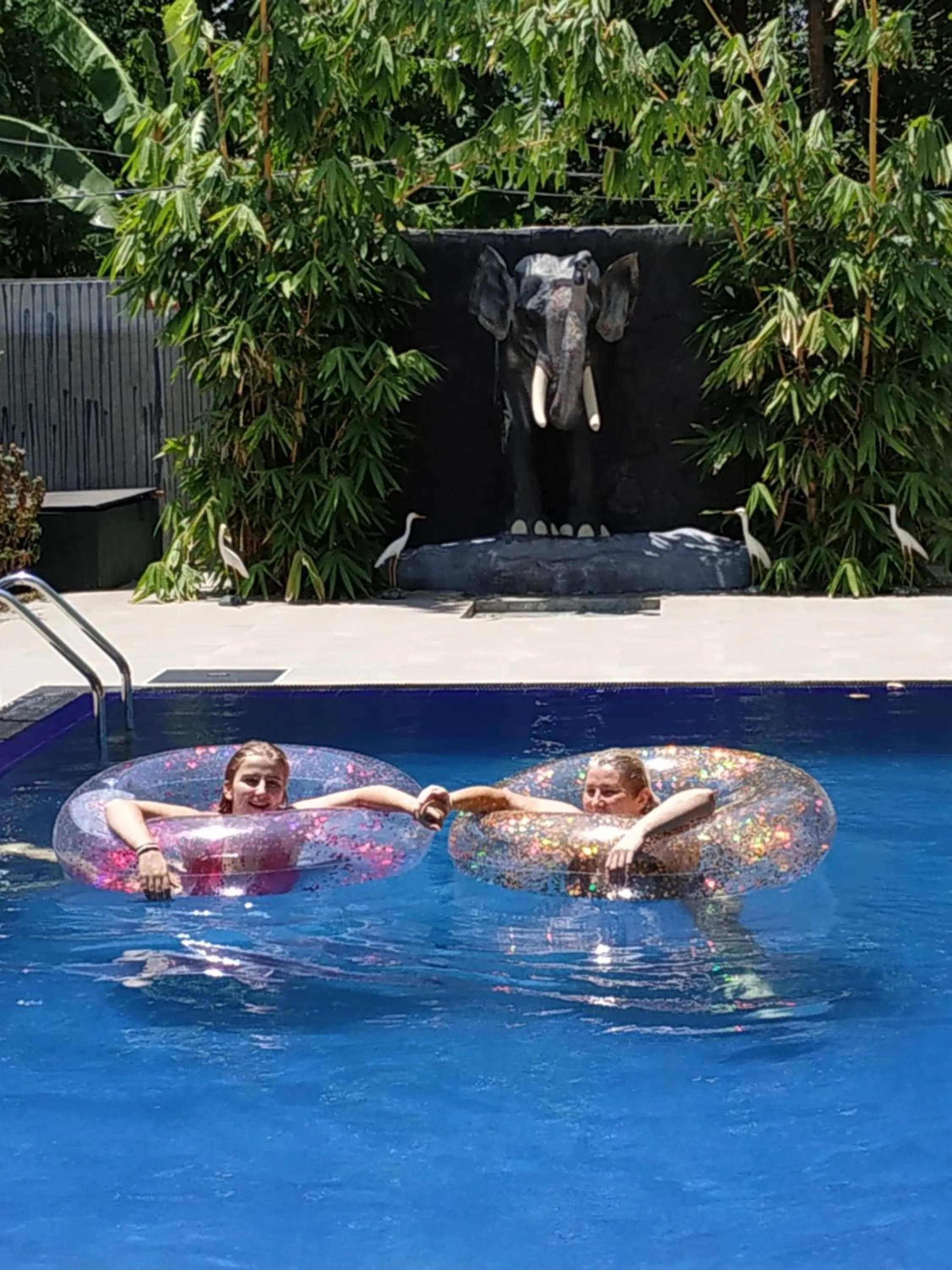 Pool view in Sigiriya Cashew Palace Resort