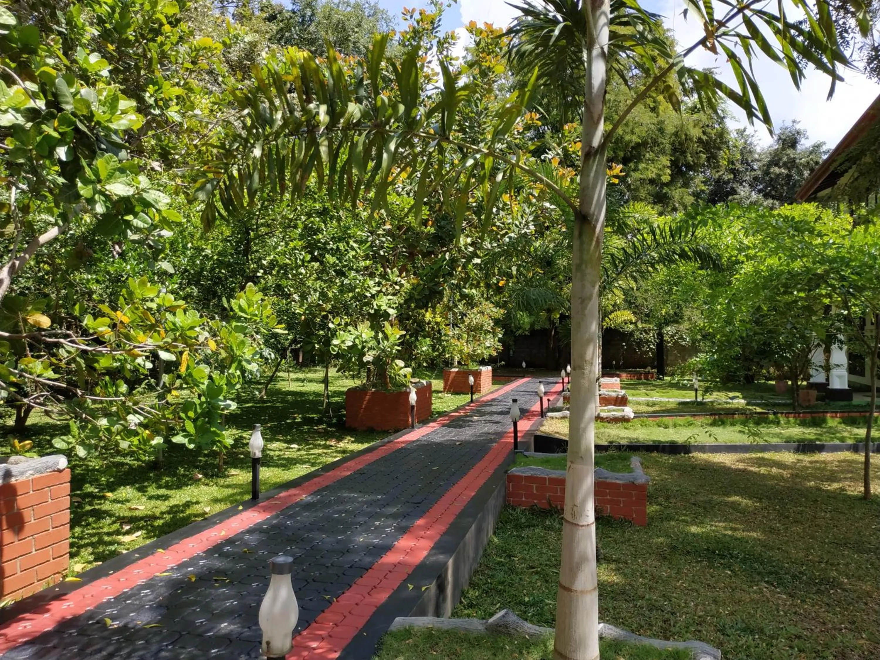 Garden in Sigiriya Cashew Palace Resort