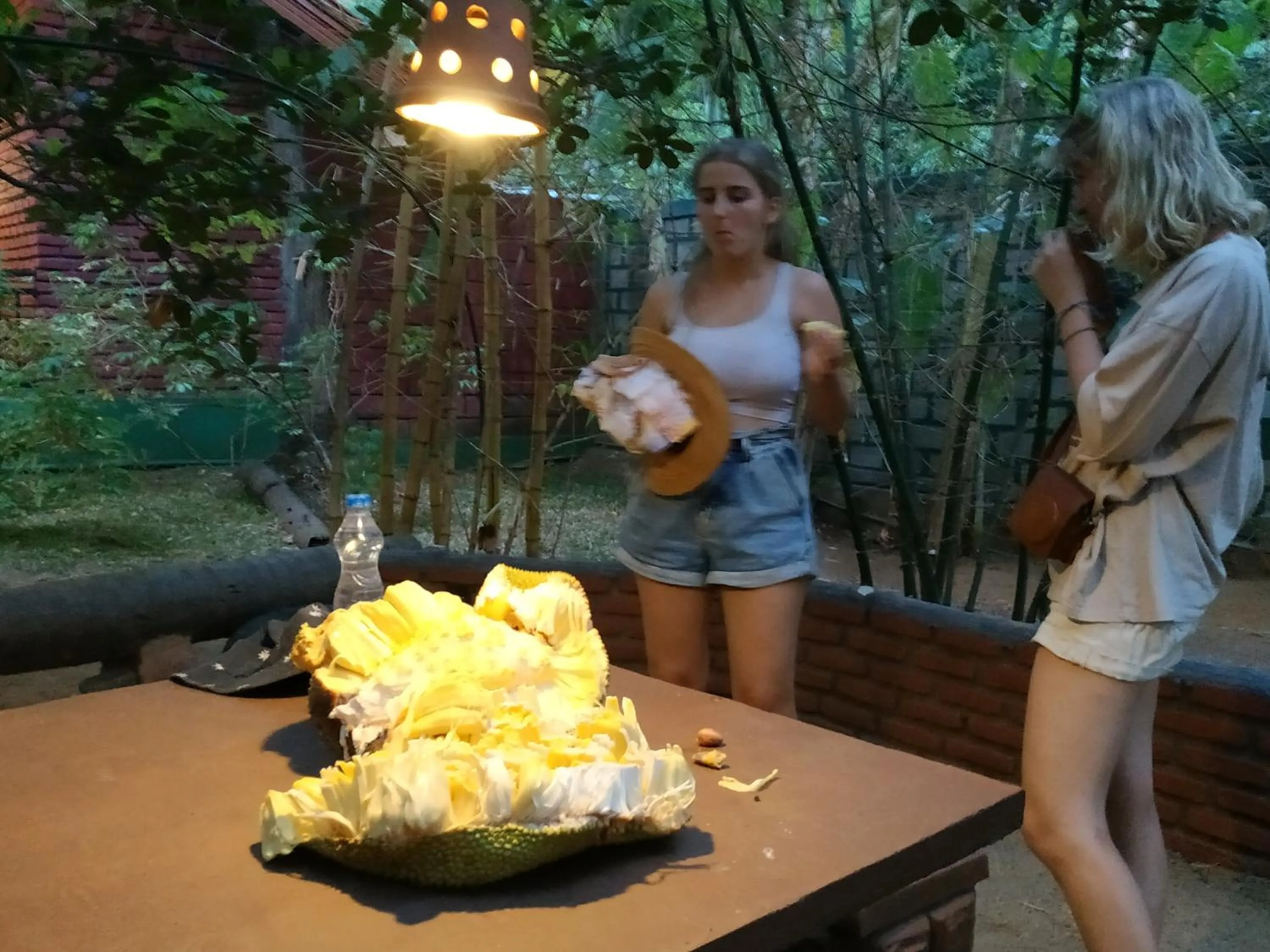 Guests in Sigiriya Cashew Palace Resort