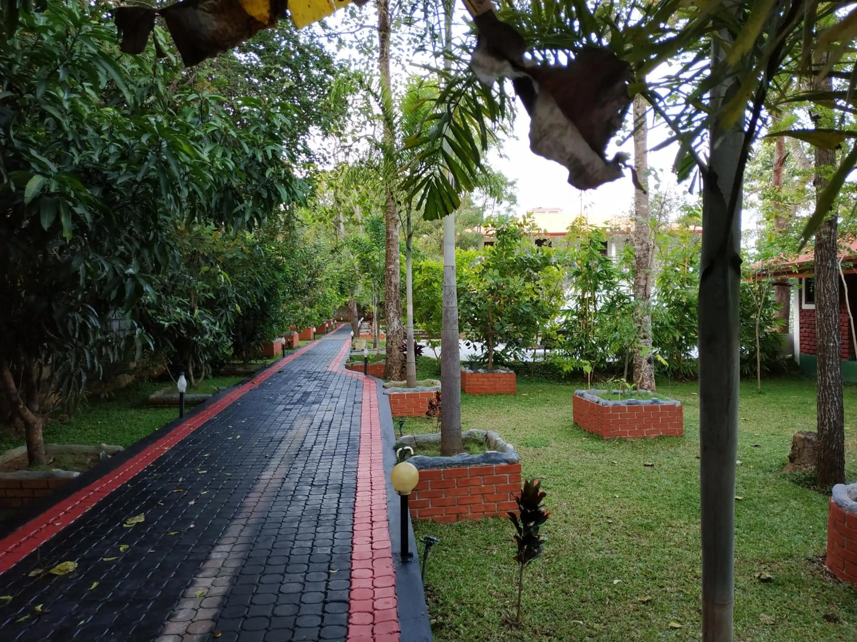 Garden in Sigiriya Cashew Palace Resort