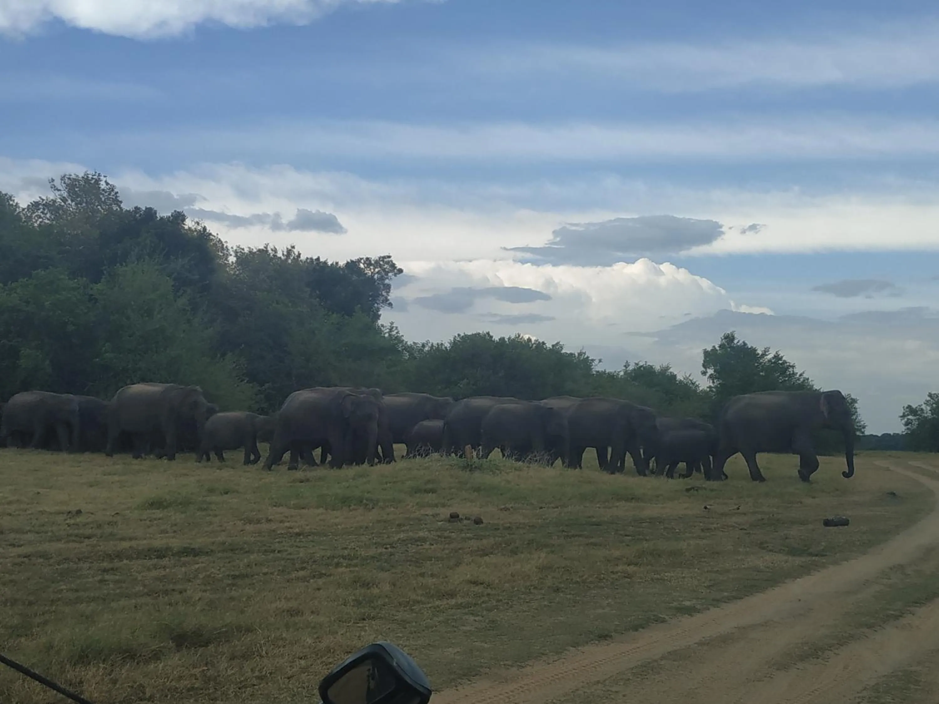 Sigiriya Cashew Palace Resort