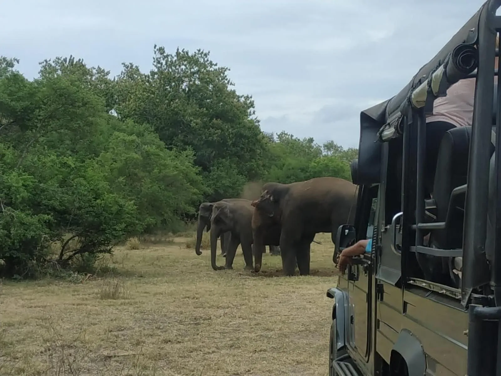 Sigiriya Cashew Palace Resort