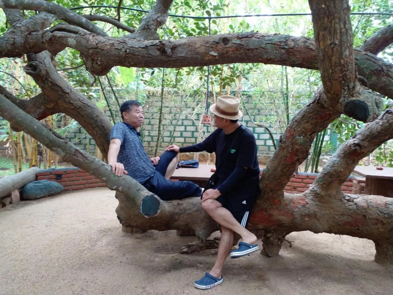 Natural landscape in Sigiriya Cashew Palace Resort