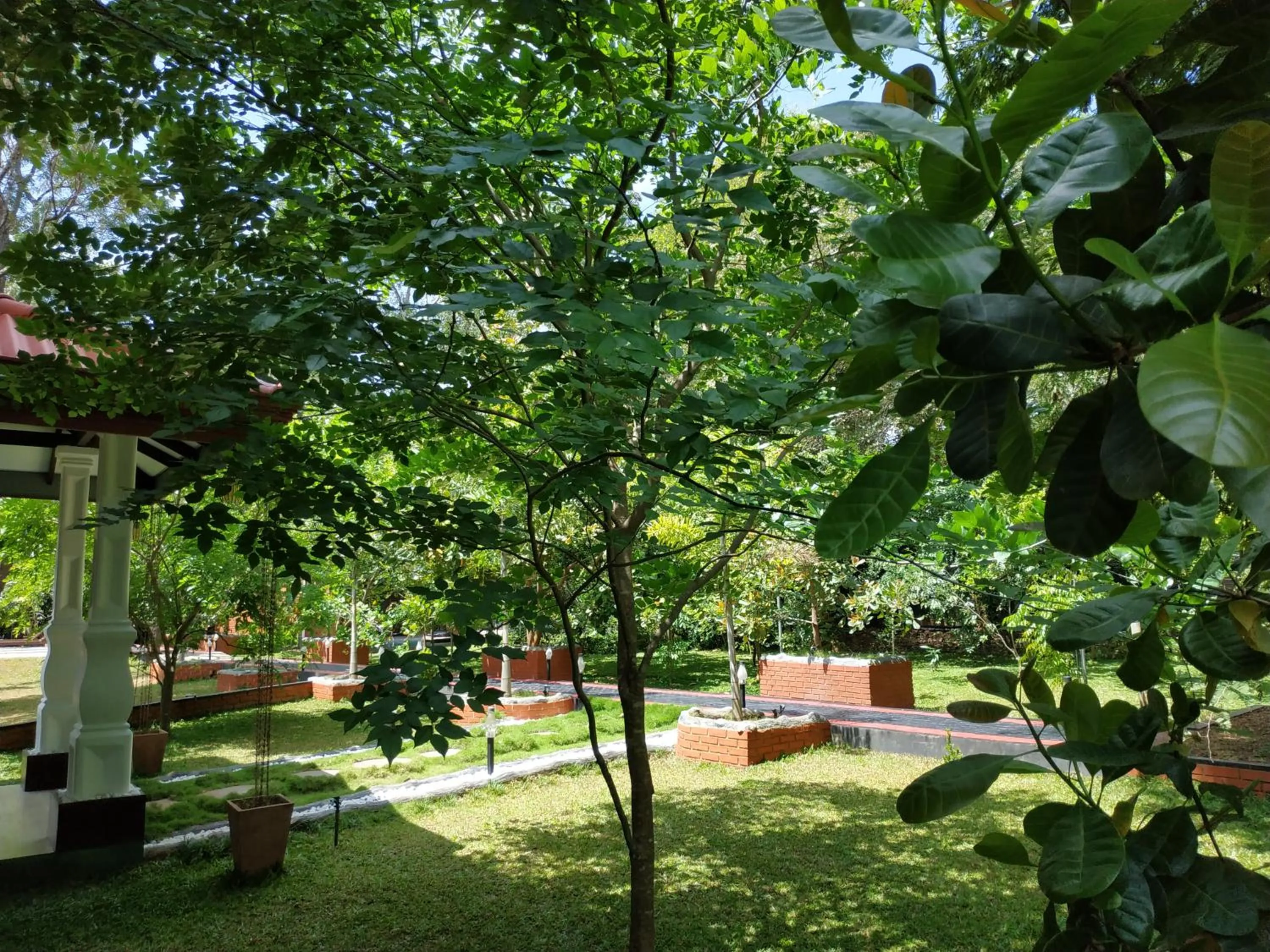 Garden in Sigiriya Cashew Palace Resort