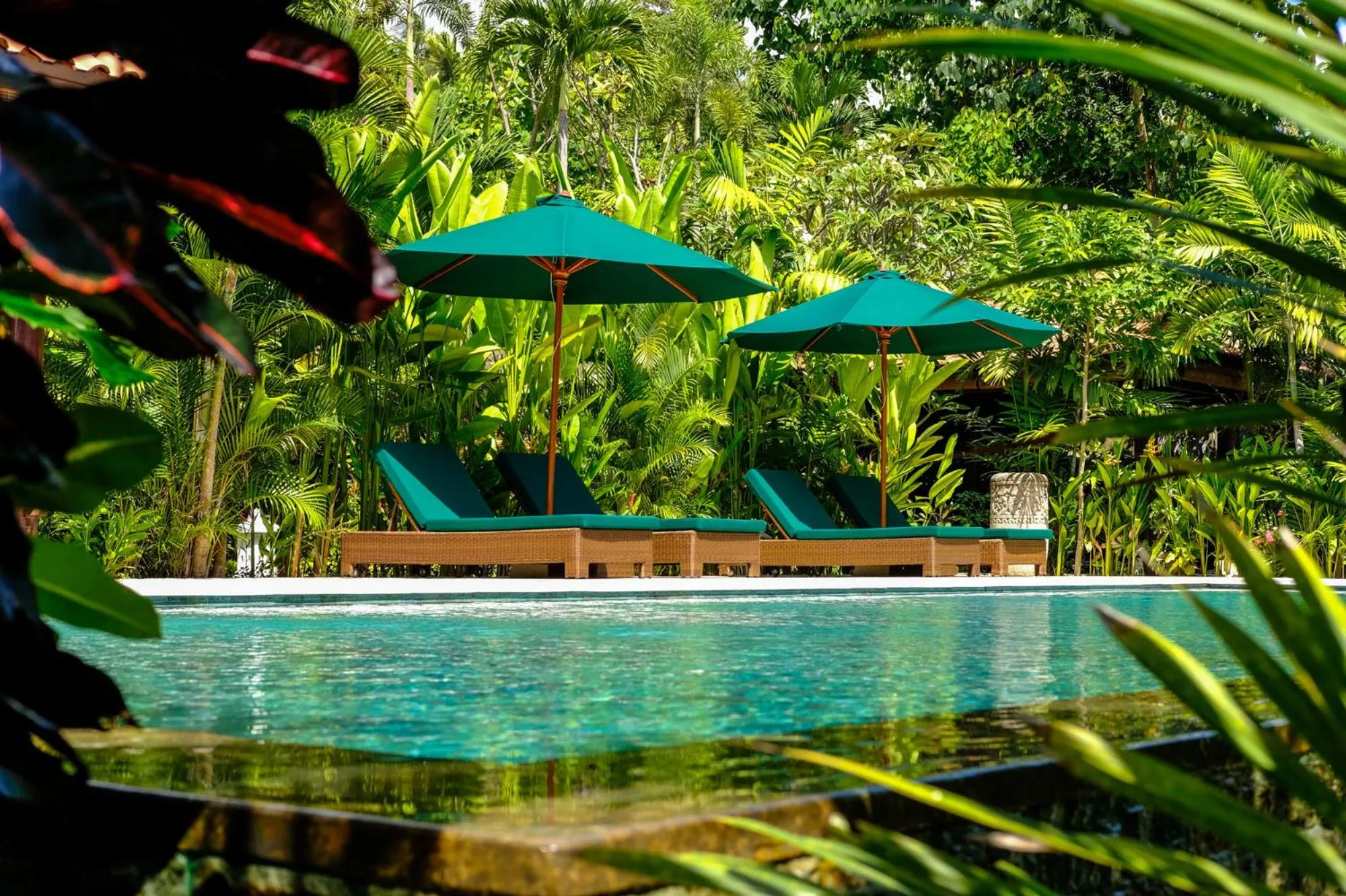 Swimming pool in Villa Mata Hari