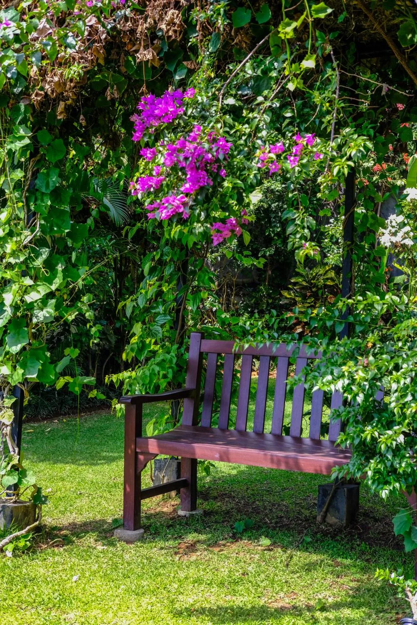 Garden in Villa Mata Hari