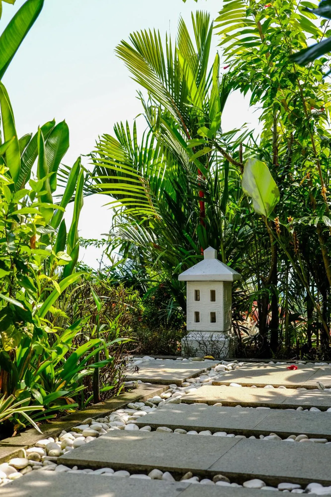 Garden in Villa Mata Hari