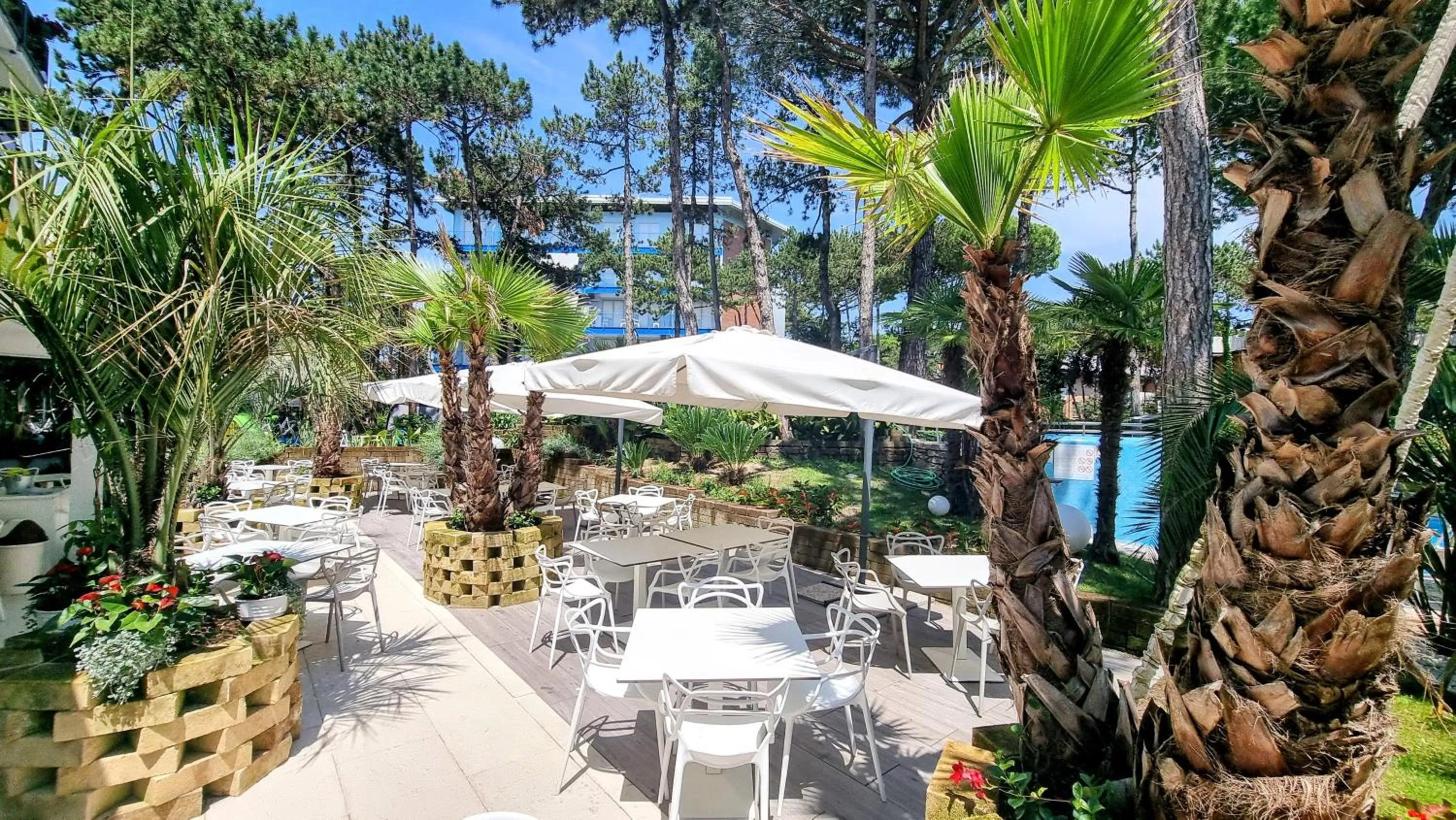 Garden in Hotel Mediterraneo