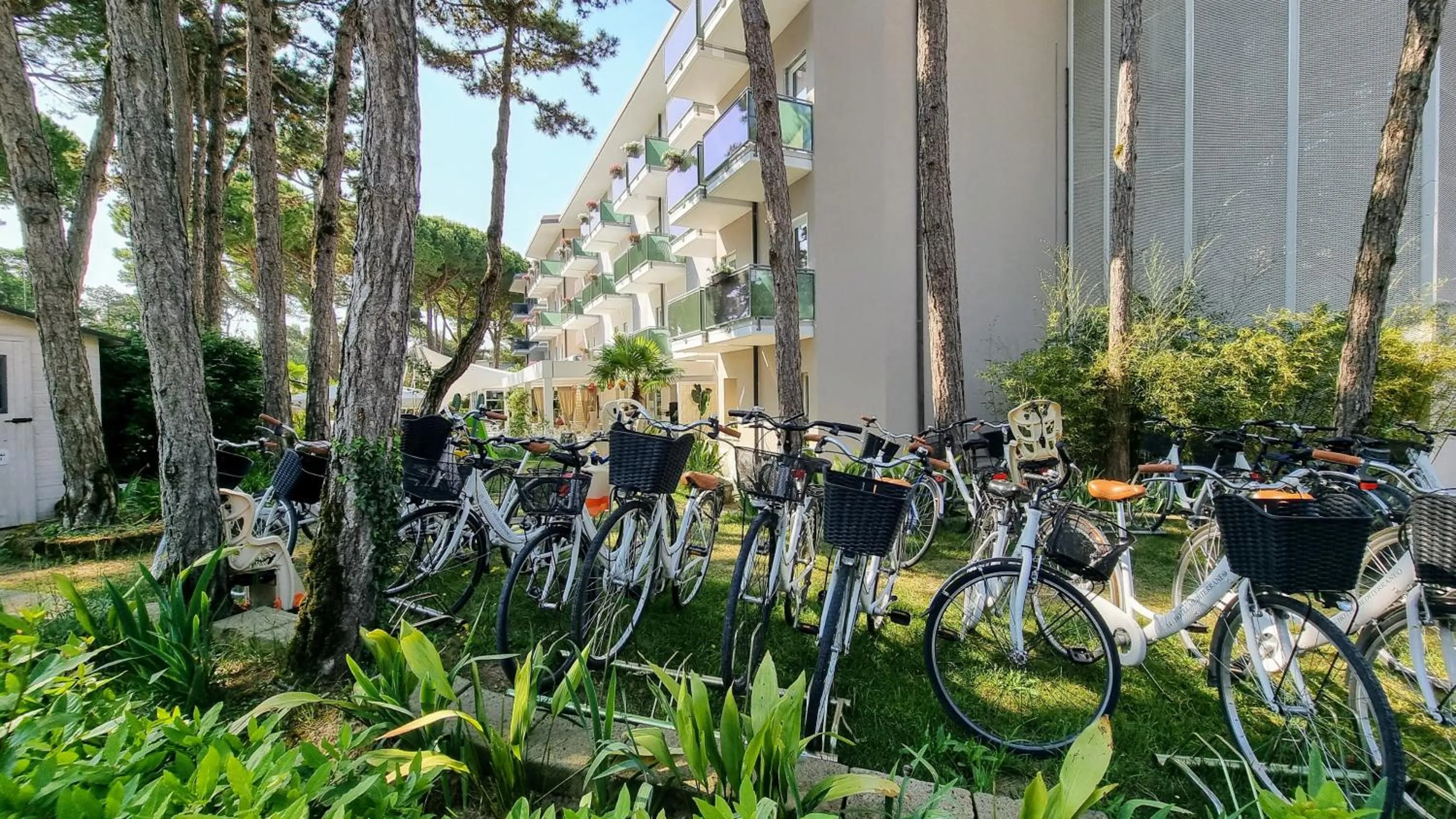 Cycling in Hotel Mediterraneo