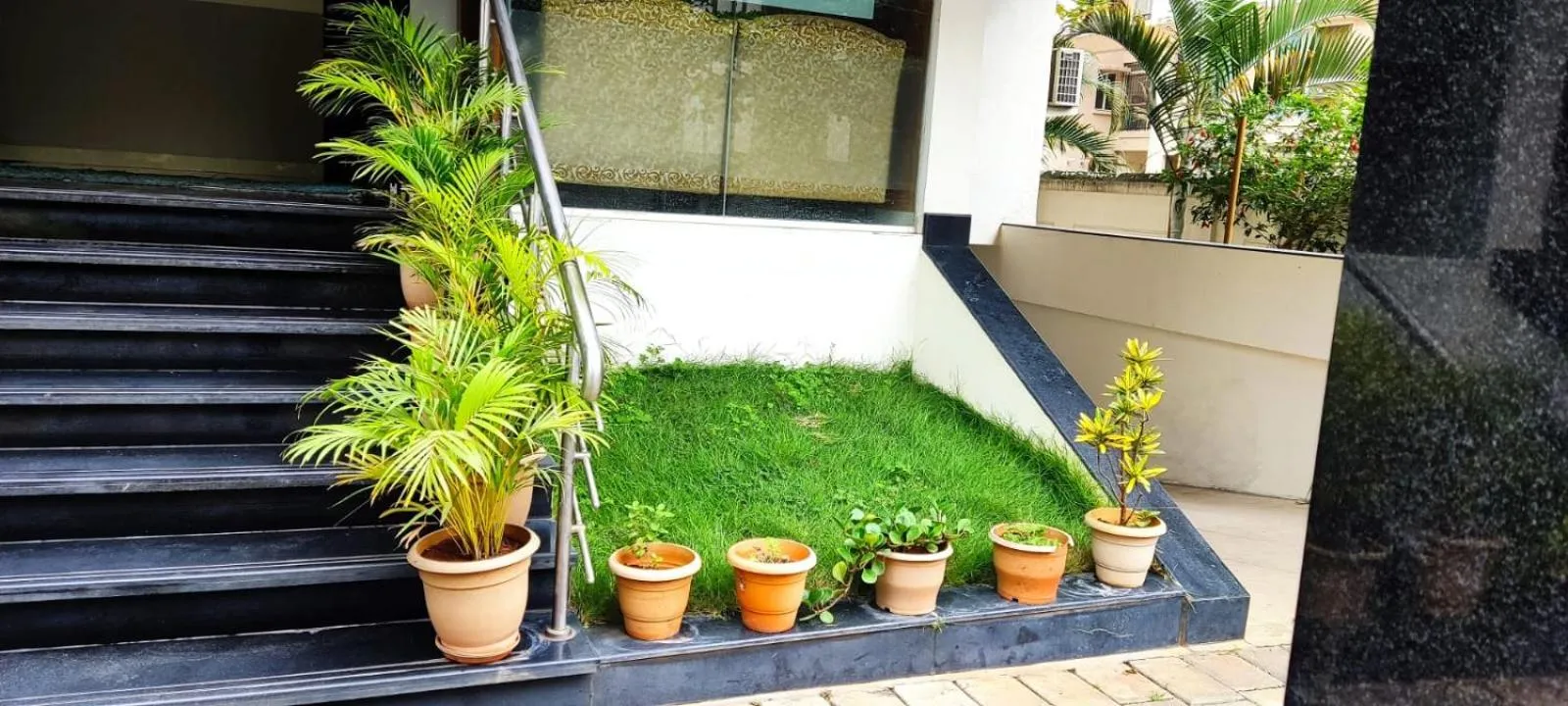 SERENE INTERNATIONAL