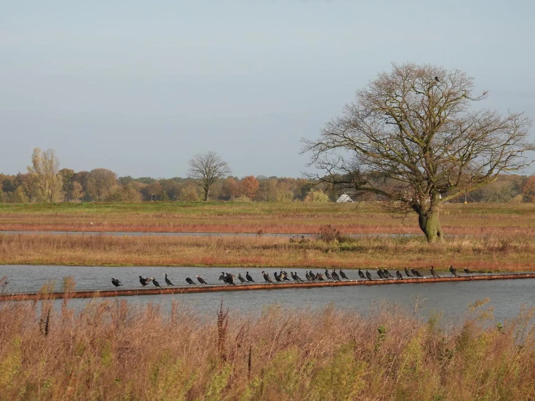 B&B de Blauwververij