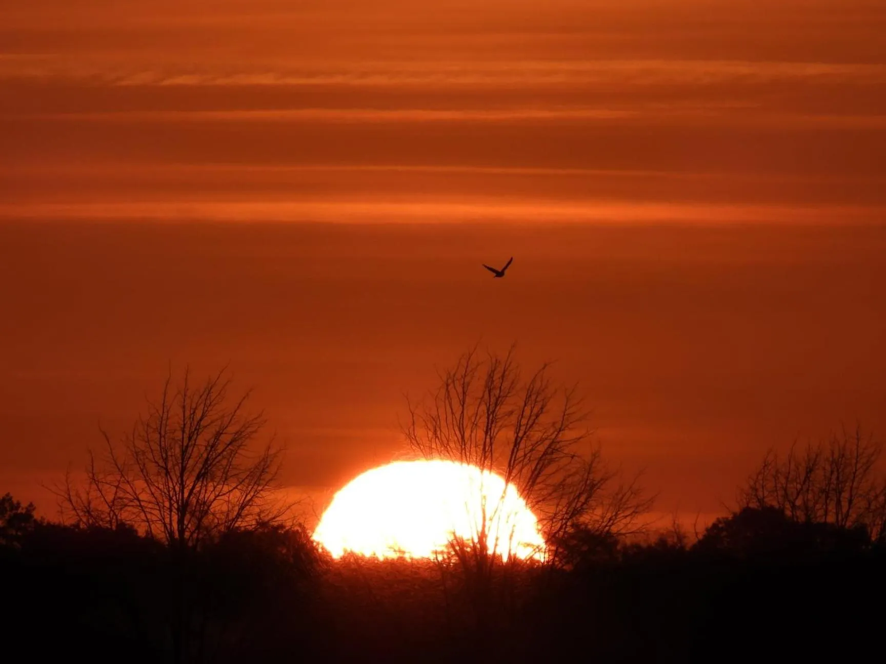 B&B de Blauwververij