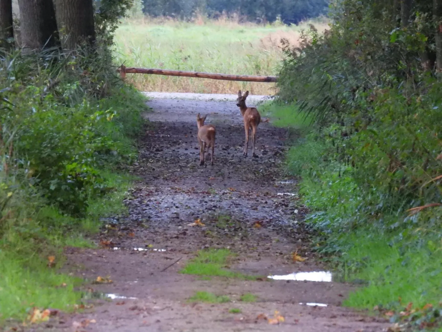B&B de Blauwververij