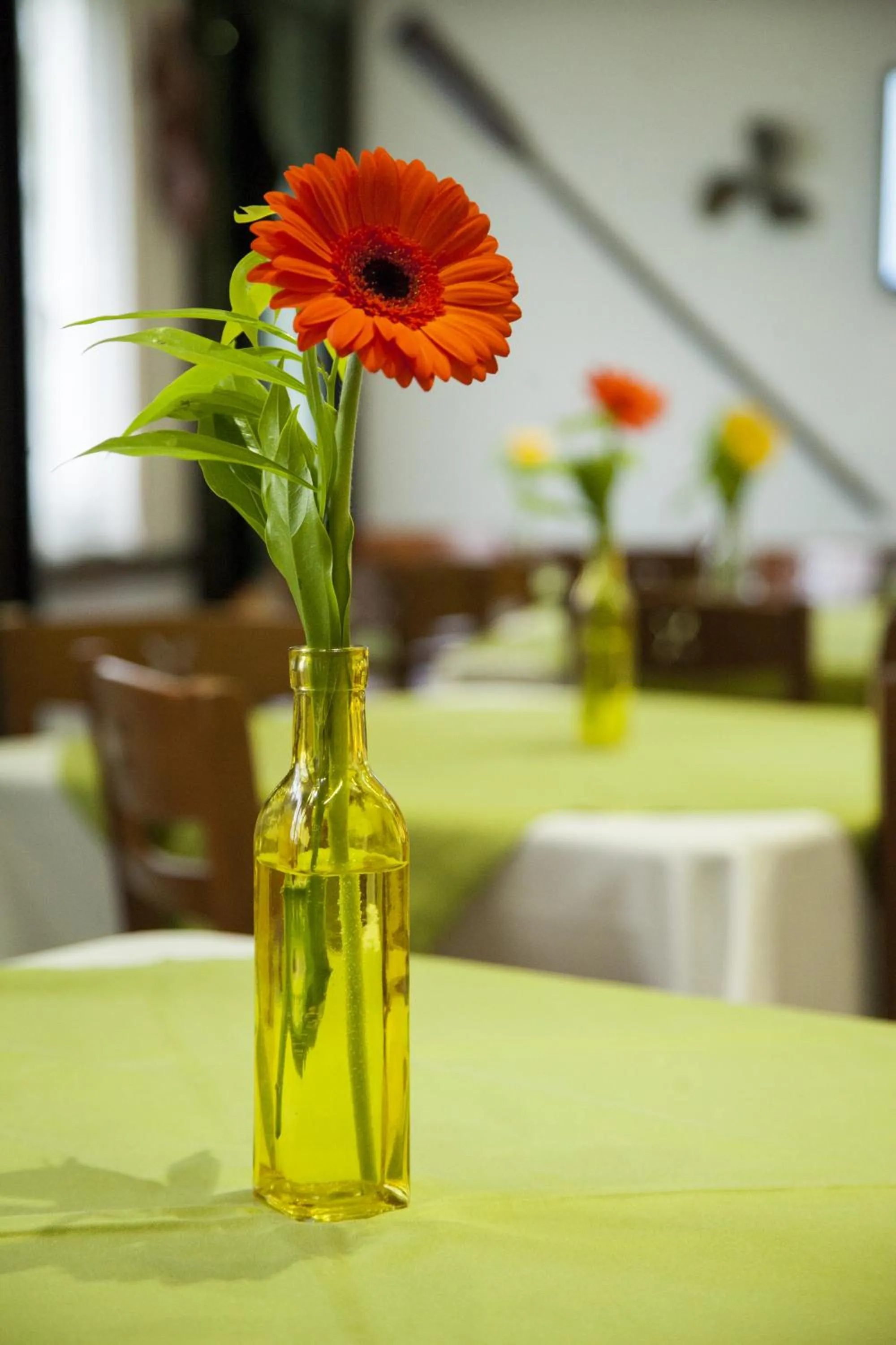 Restaurant/places to eat in Hotel La Tripergola