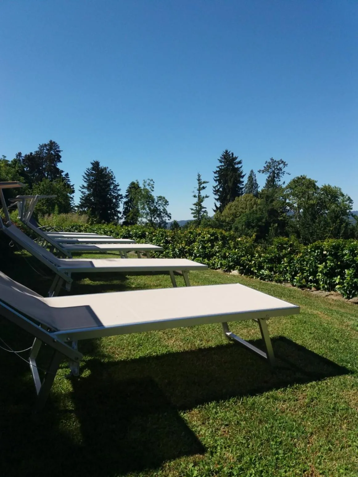 Garden in Albergo Ristorante Monterosa