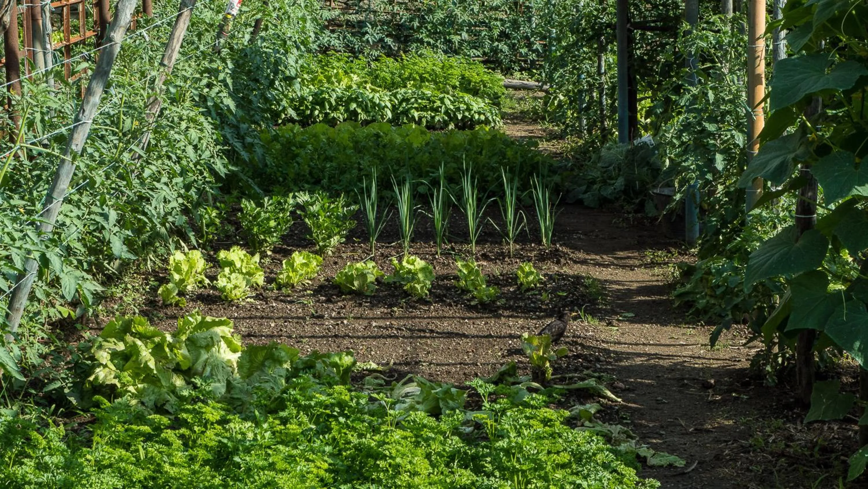Natural landscape in Albergo Ristorante Monterosa