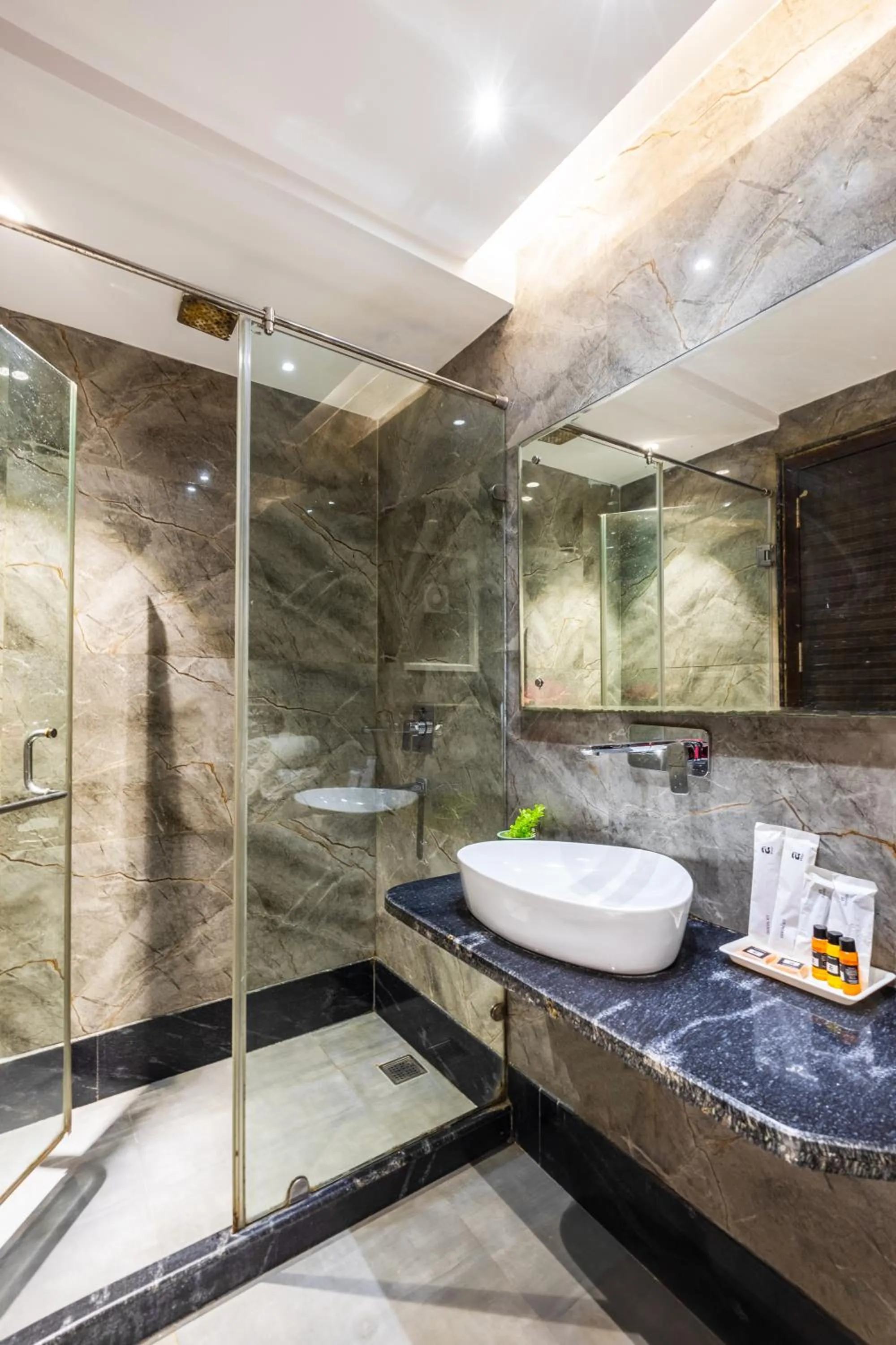 The Vanson Delite "Newly Rebuilt 2026" - Near New Delhi Station & Connaught Place