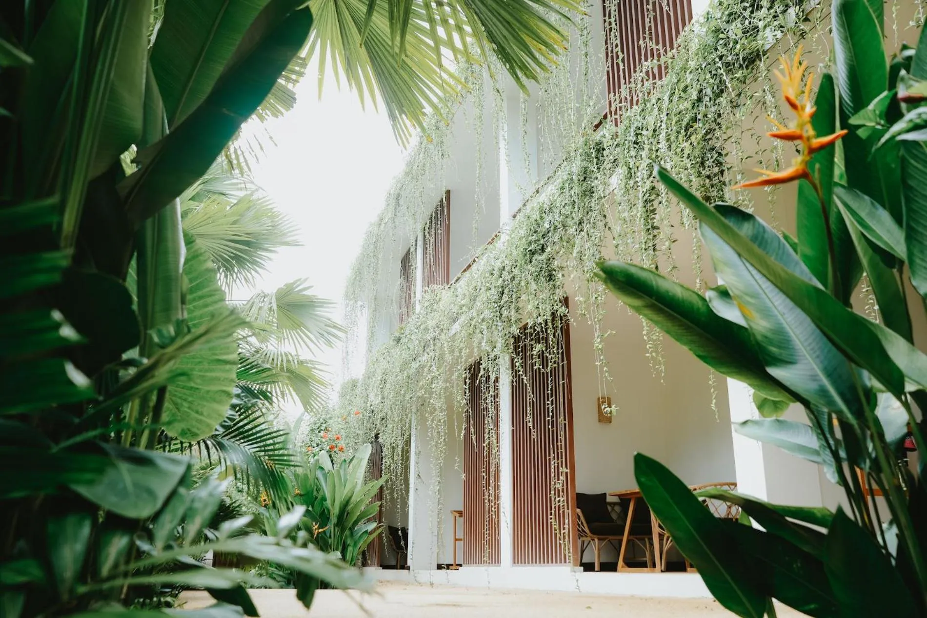 Property building in PORTER HOTEL - Surf & Yoga Retreat