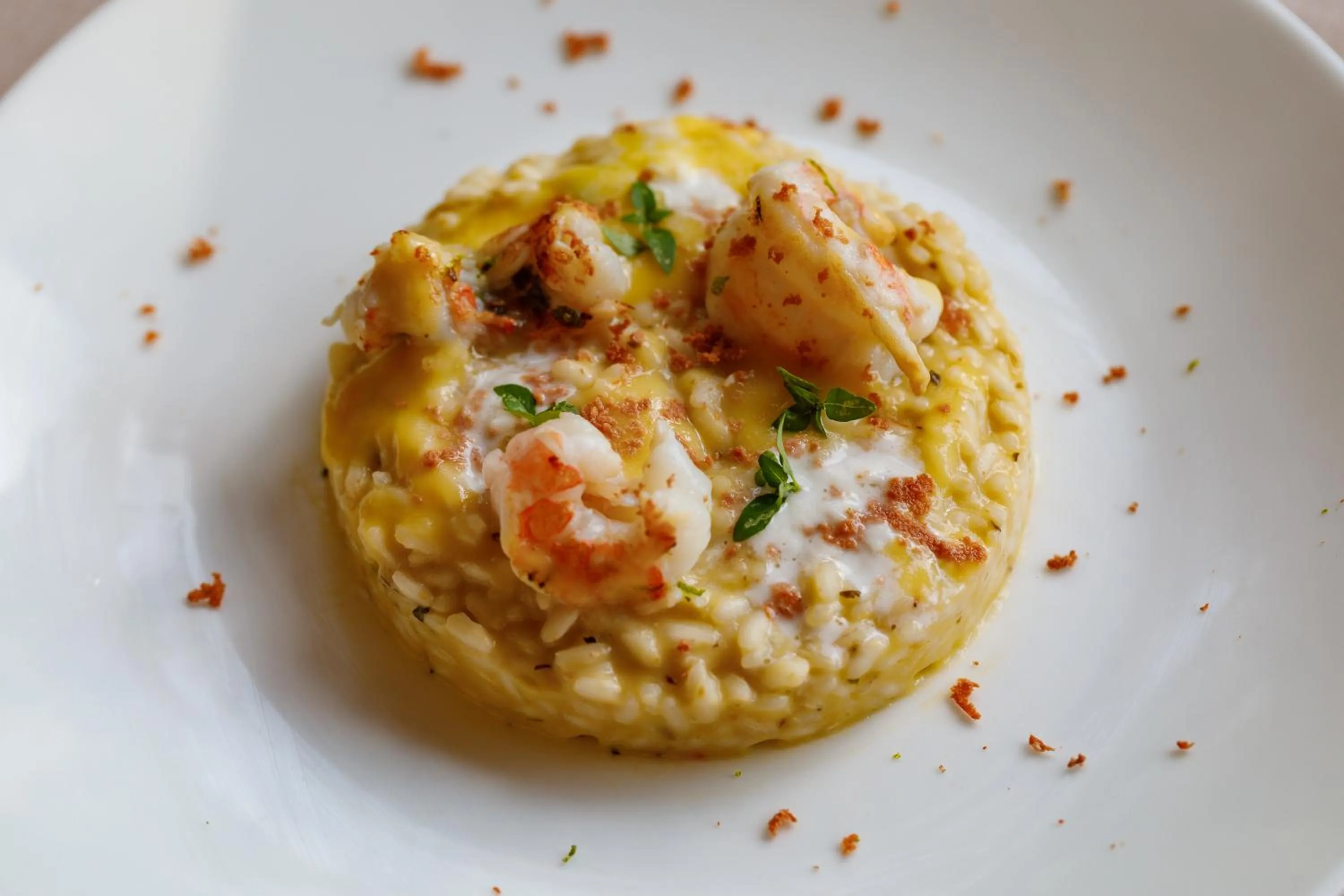 Restaurant/places to eat in Alberi del Paradiso