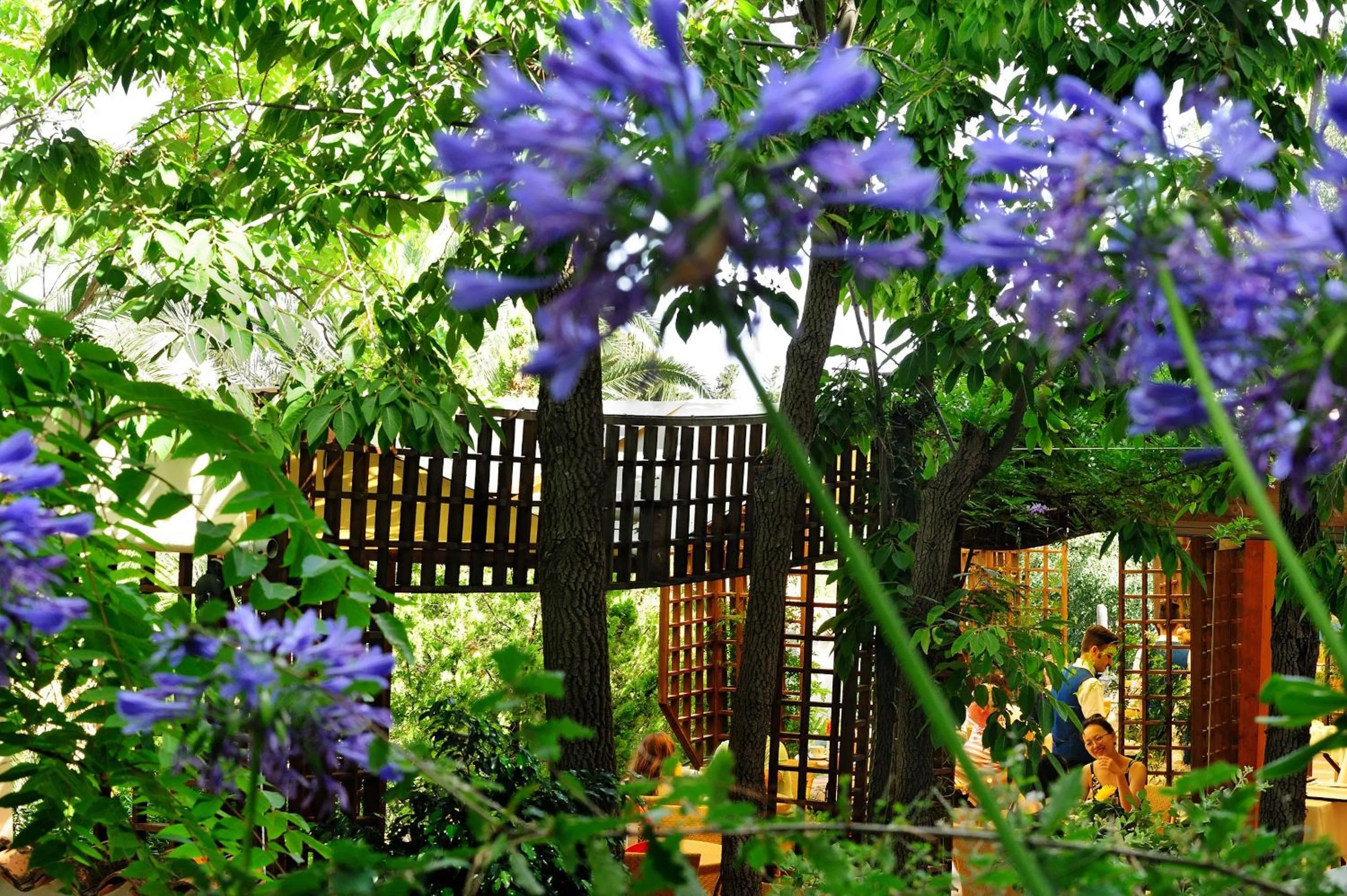 Restaurant/places to eat in Alberi del Paradiso