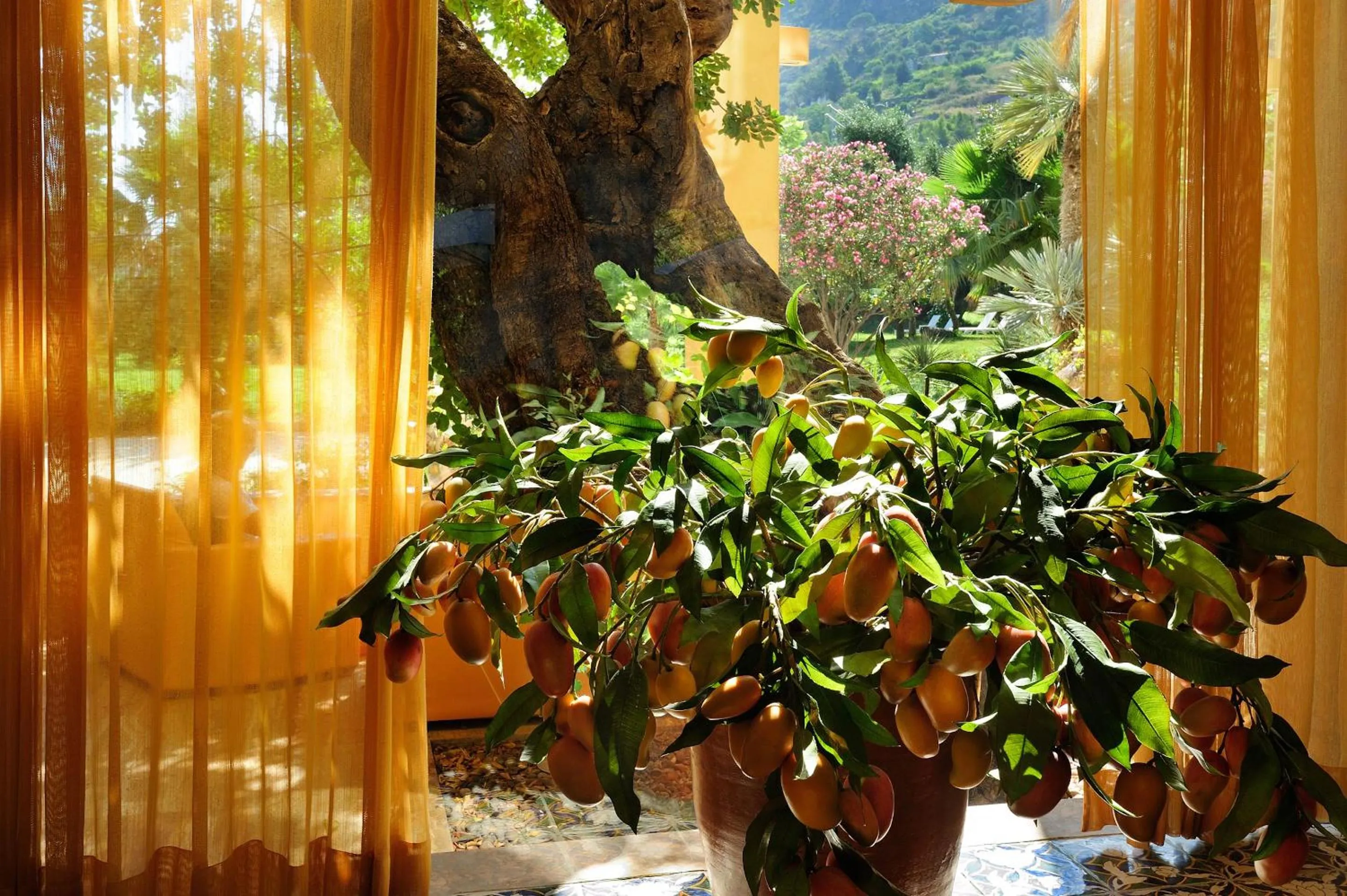 Lobby or reception in Alberi del Paradiso