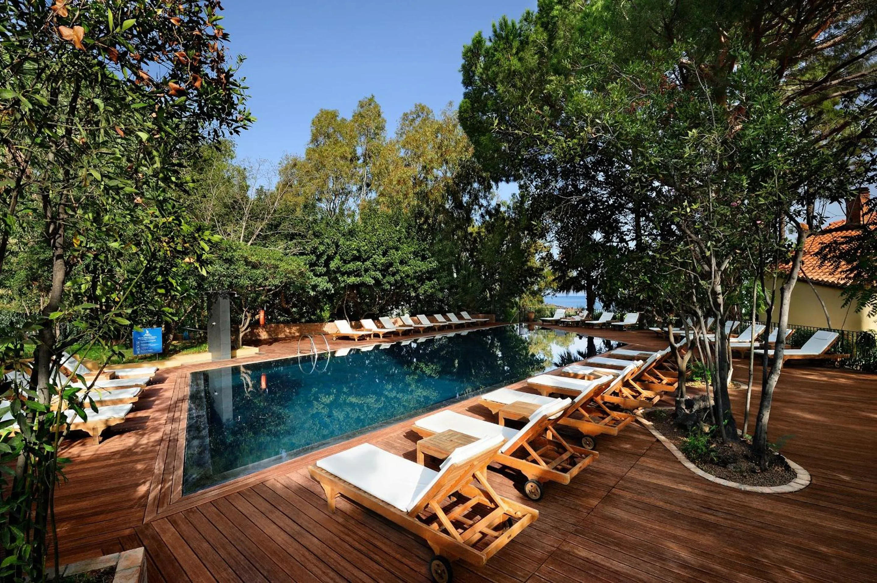 Swimming pool in Alberi del Paradiso