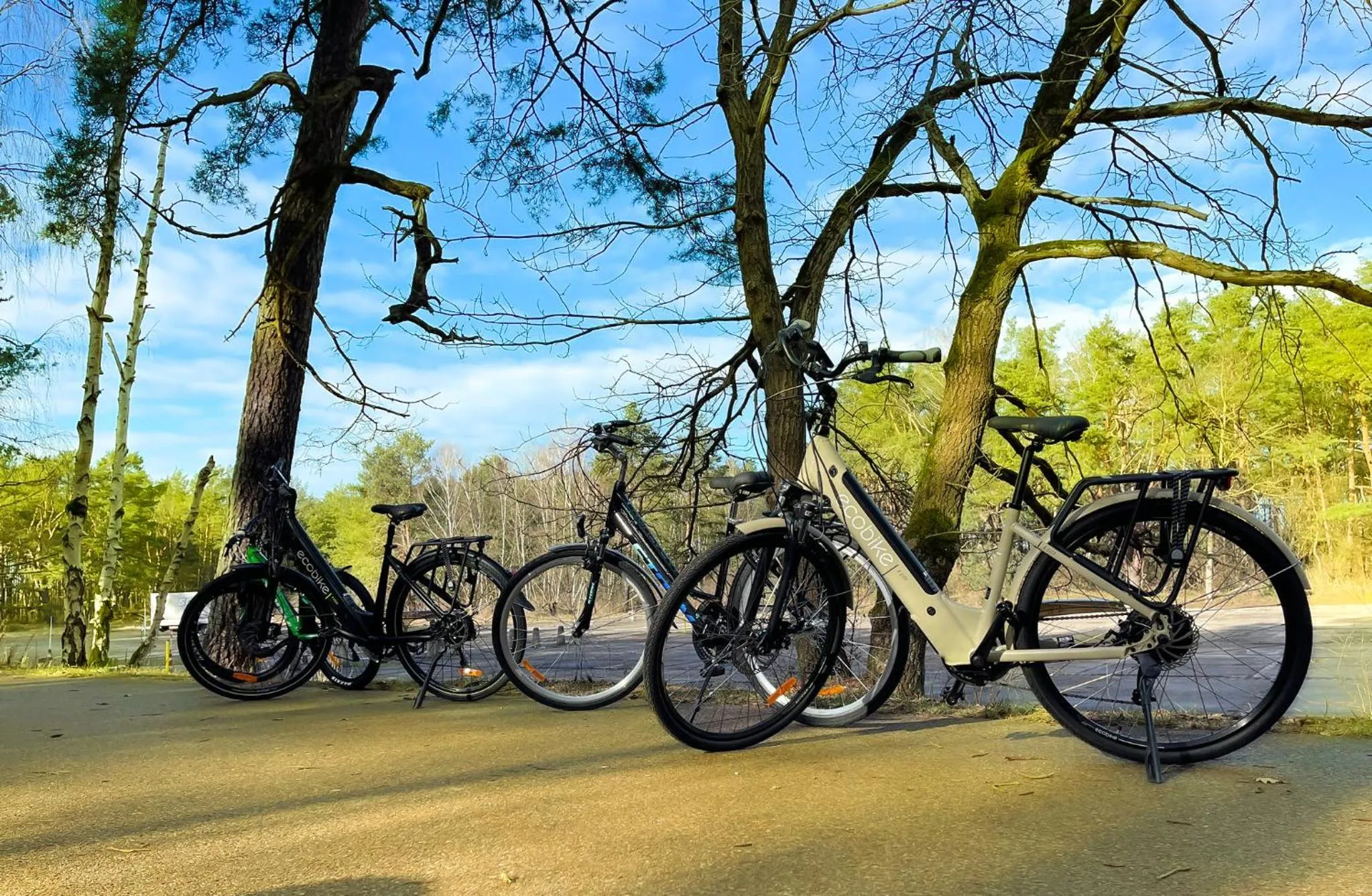 Cycling in Aparthotel Green Concrete - ekologiczne apartamenty premium ze strefą Wellness