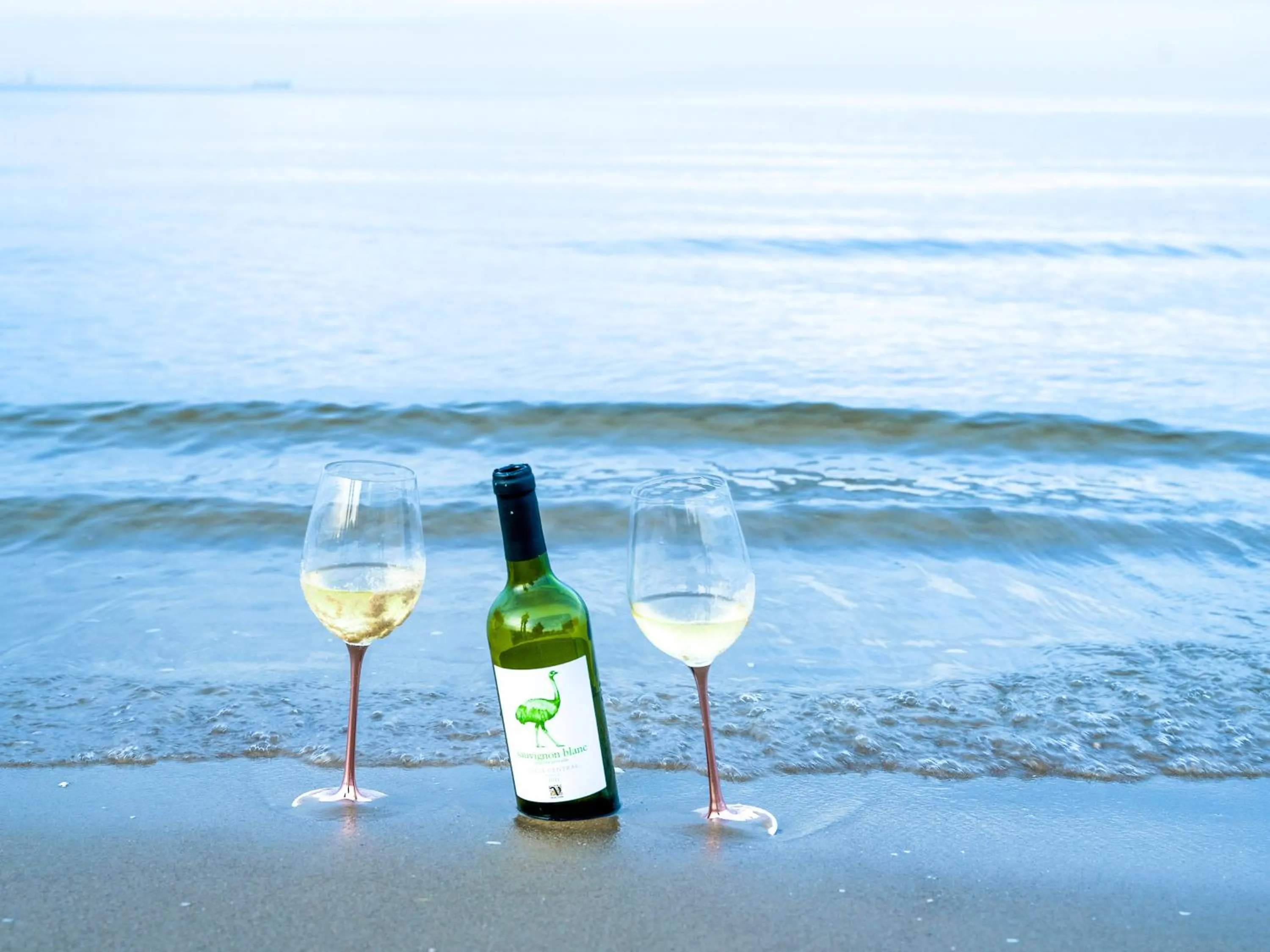 Day in Aparthotel Green Concrete - ekologiczne apartamenty premium ze strefą Wellness