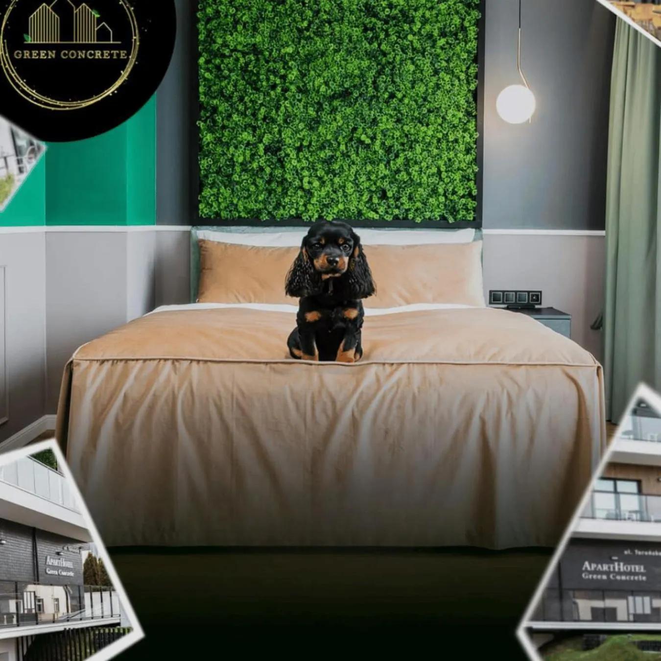 Animals, Bed in Aparthotel Green Concrete