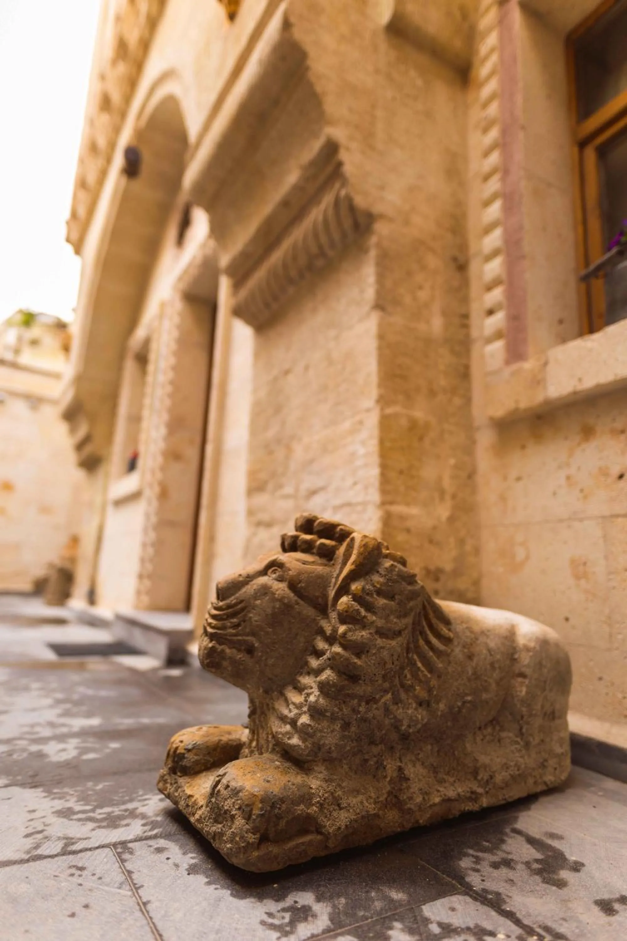 Logo/Certificate/Sign in Solo Cave Suites